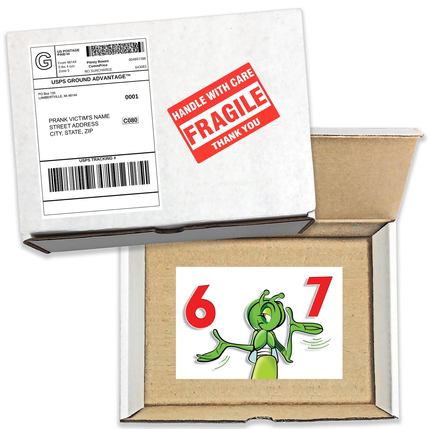 6 - 7 Six Seven Surprise Prank Mail