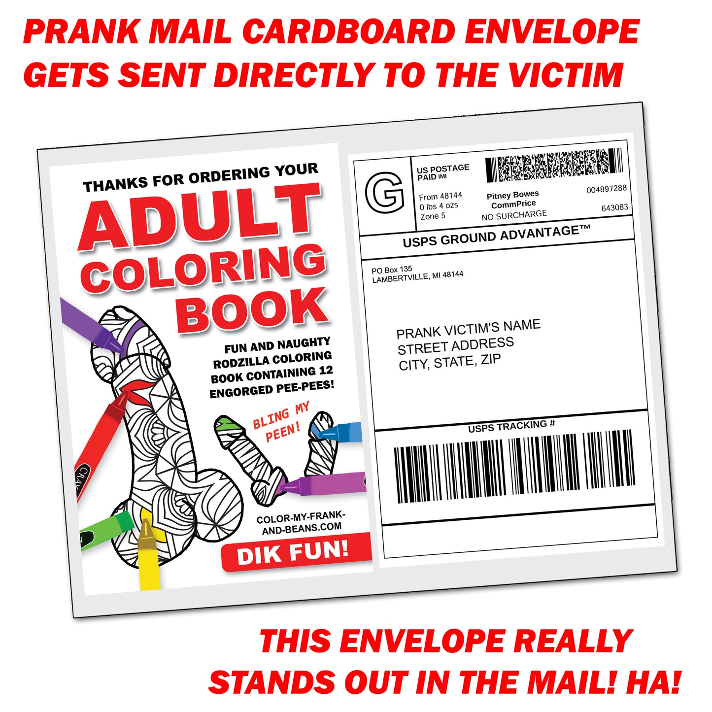 Adult Penis Coloring Book Prank Mail