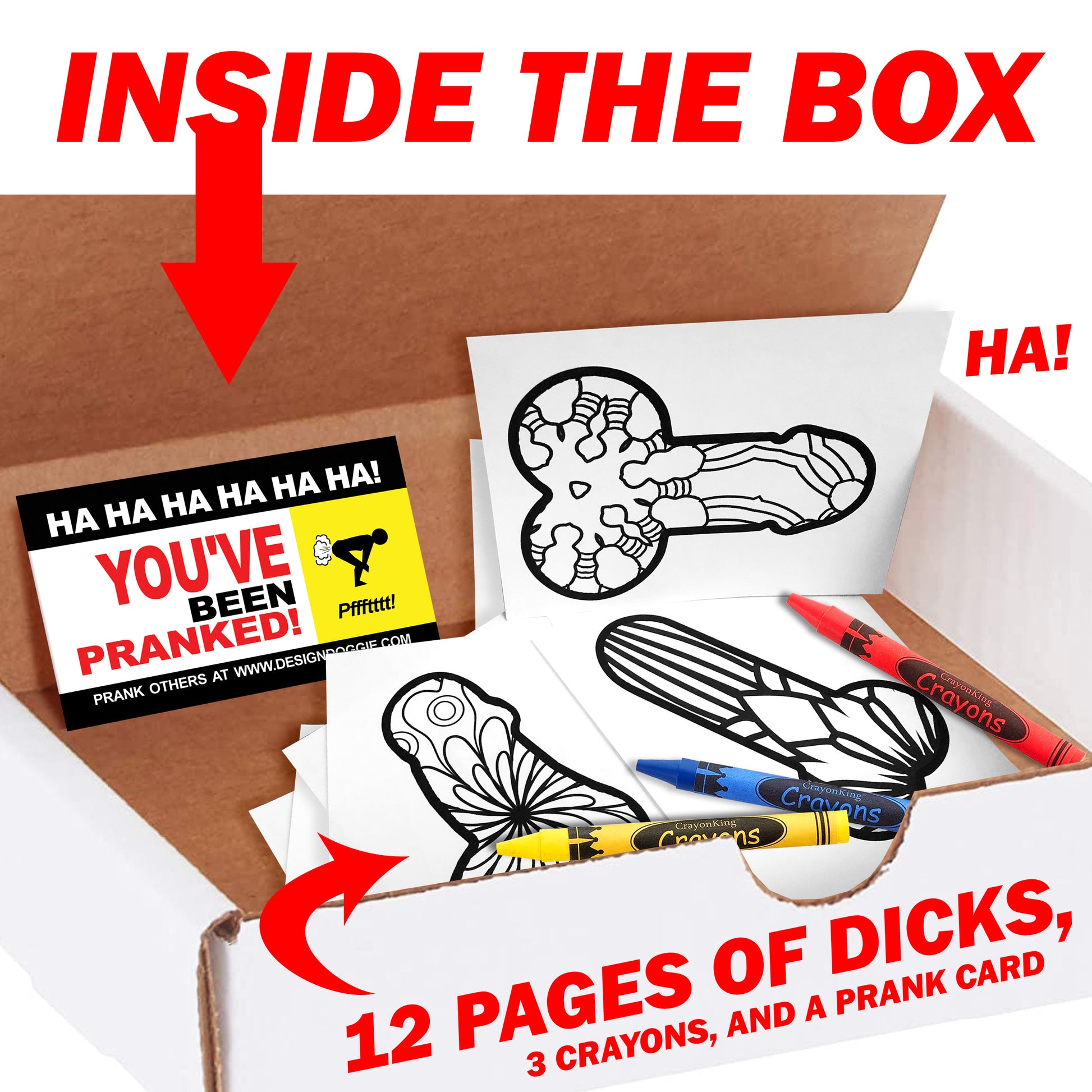 Penis Adult Coloring Book Prank Mail