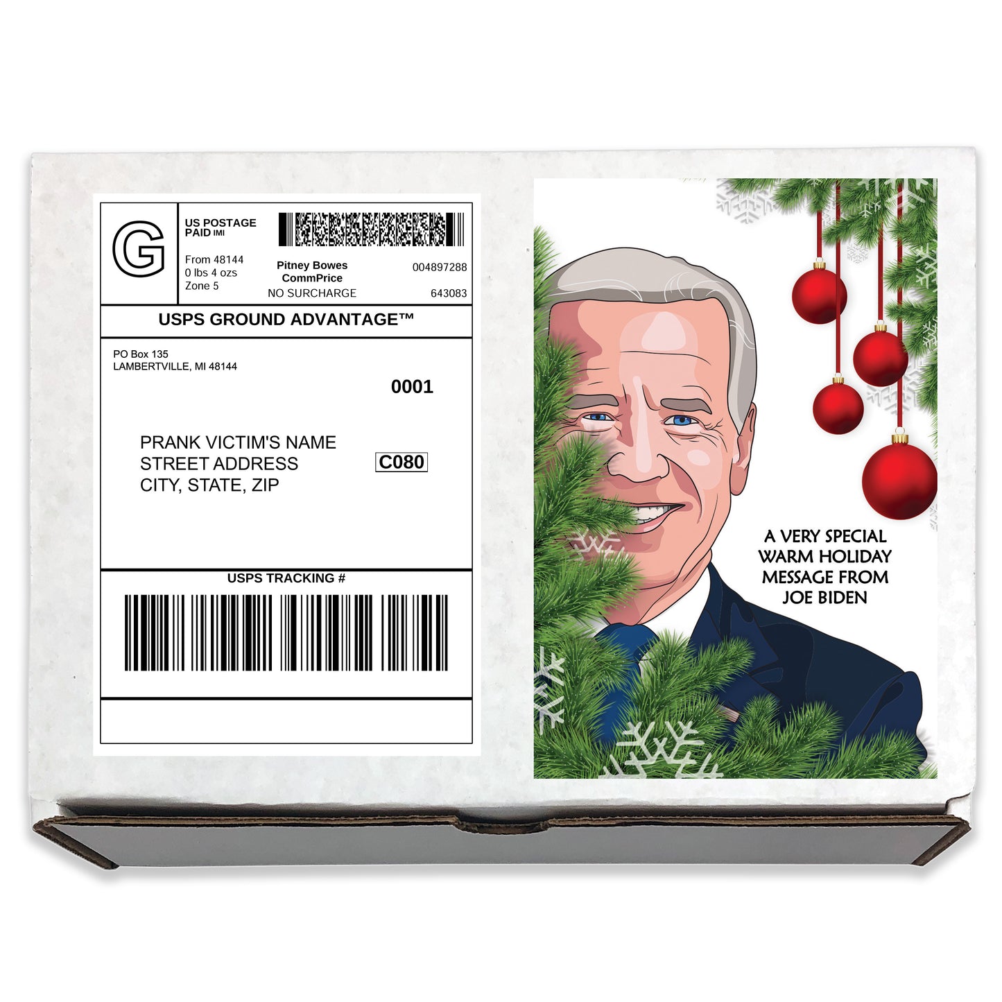 Joe Biden Christmas Holiday Mail Gag