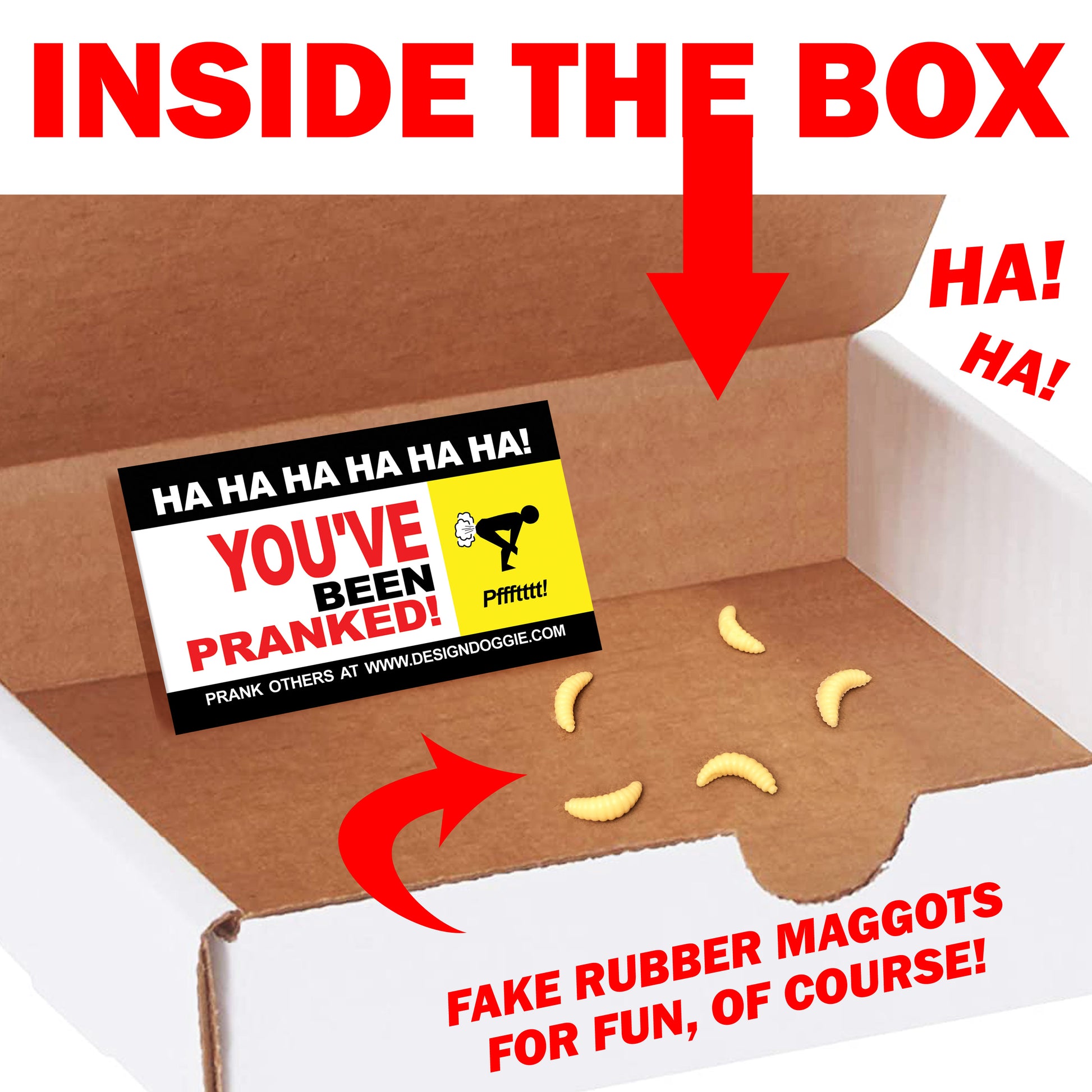 Big Box of Maggots Mail Gag