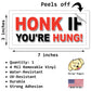 Honk If You're Hung - Quantity 1 Removable Bumper Sticker
