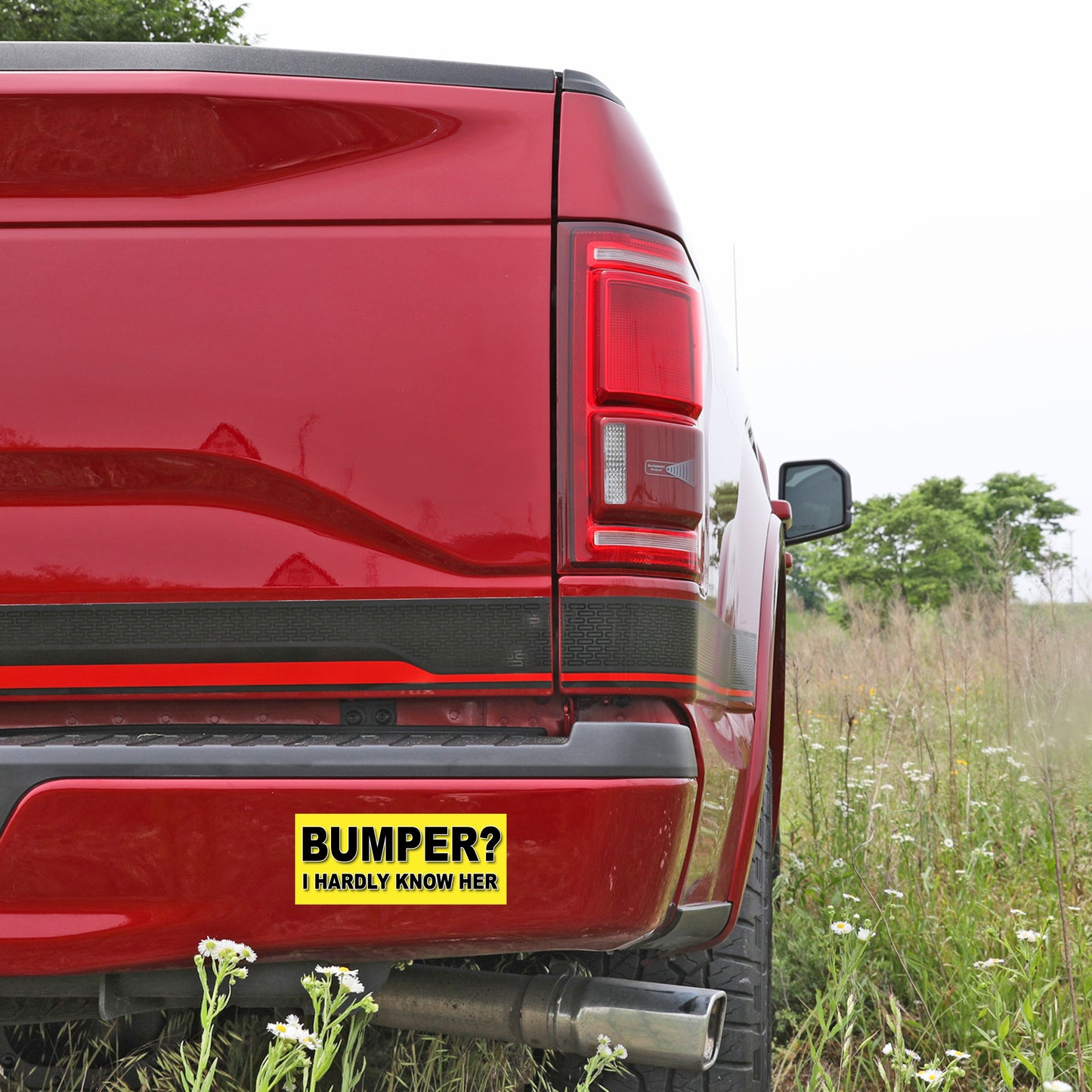 Bumper? I Hardly Know Her - Quantity 1 Removable Bumper Sticker