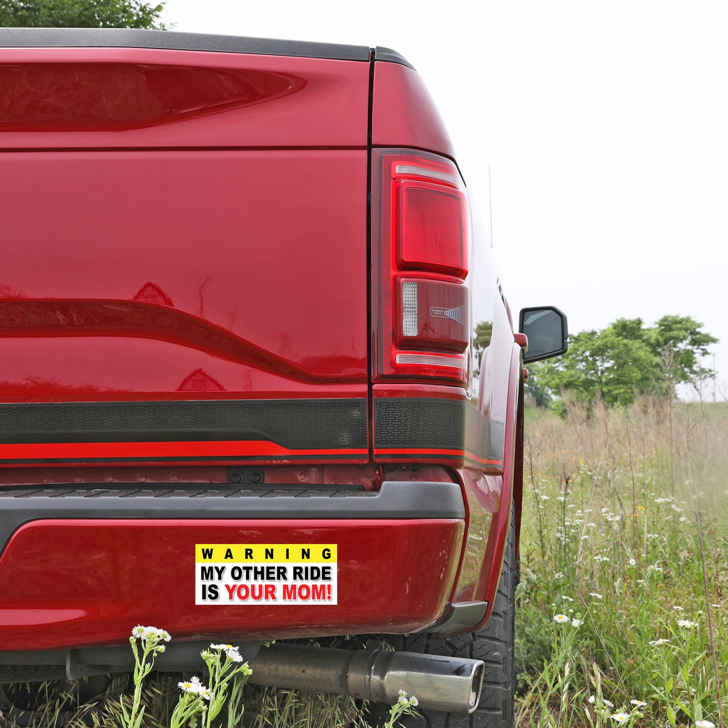 My Other Ride Is Your Mom - Quantity 1 Removable Bumper Sticker