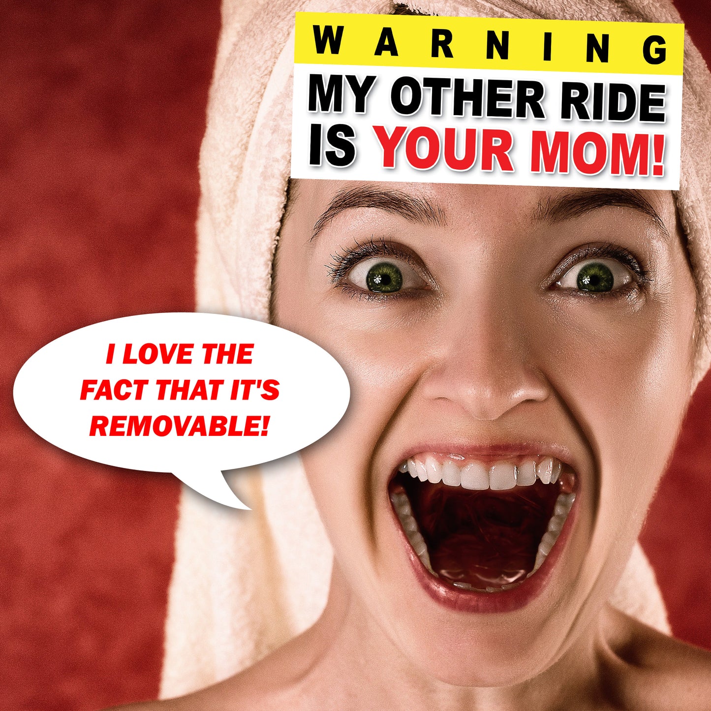 My Other Ride Is Your Mom - Quantity 1 Removable Bumper Sticker