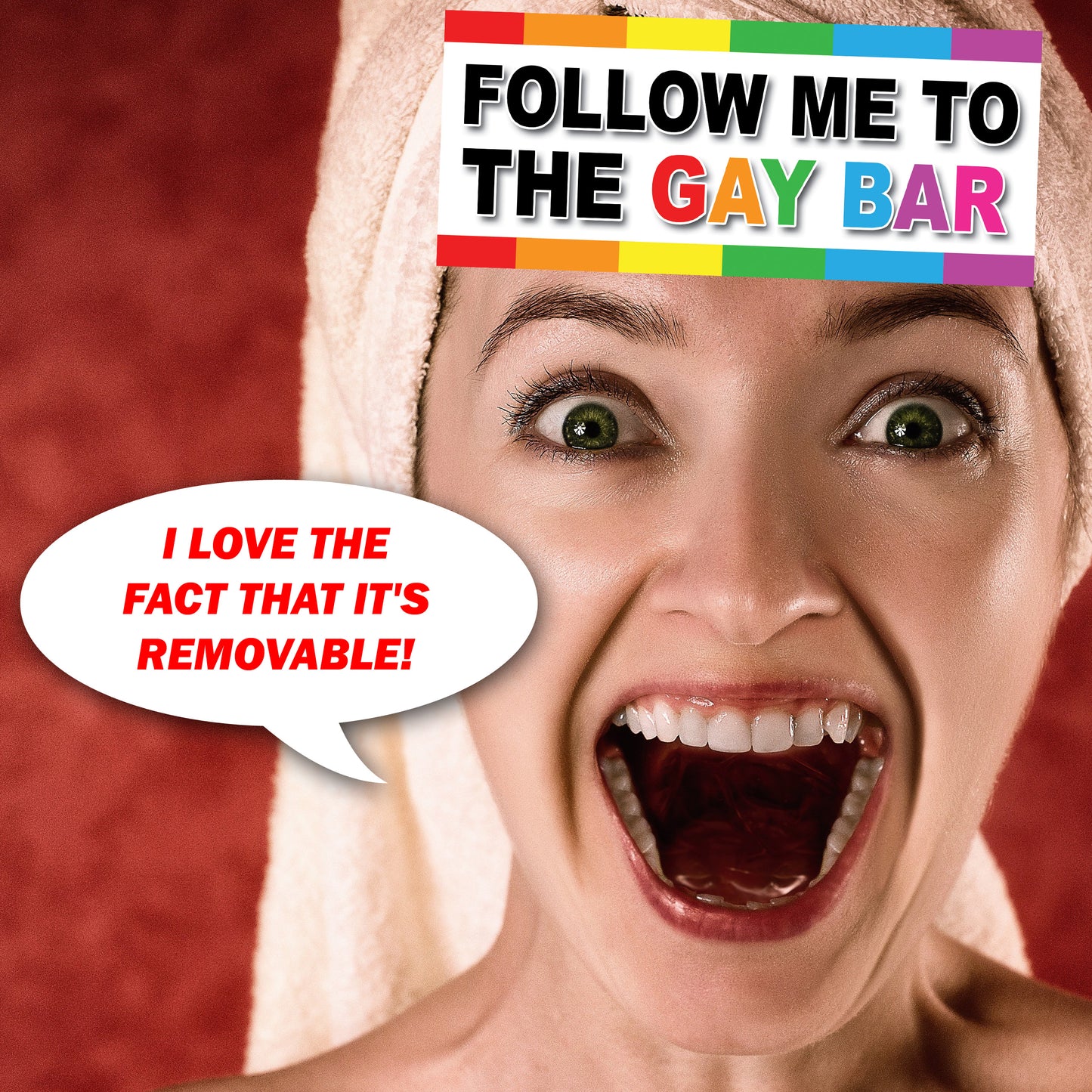 Follow Me To The Gay Bar - Quantity 1 Removable Bumper Sticker
