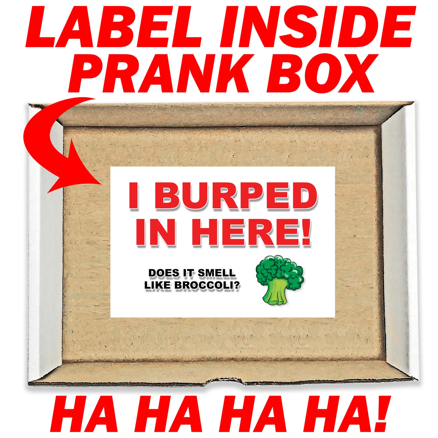 I Burped in Here! Does it Smell like Broccoli? Surprise Mail Prank