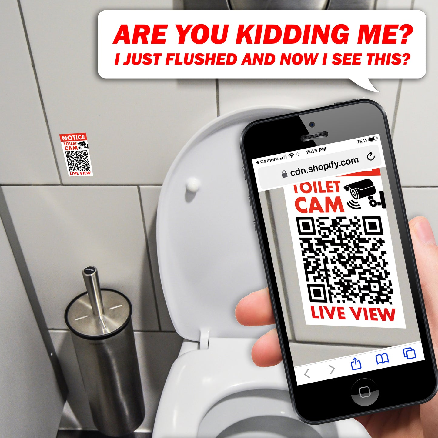 Woman Moaning Bathroom Toilet QR Code Prank Stickers!