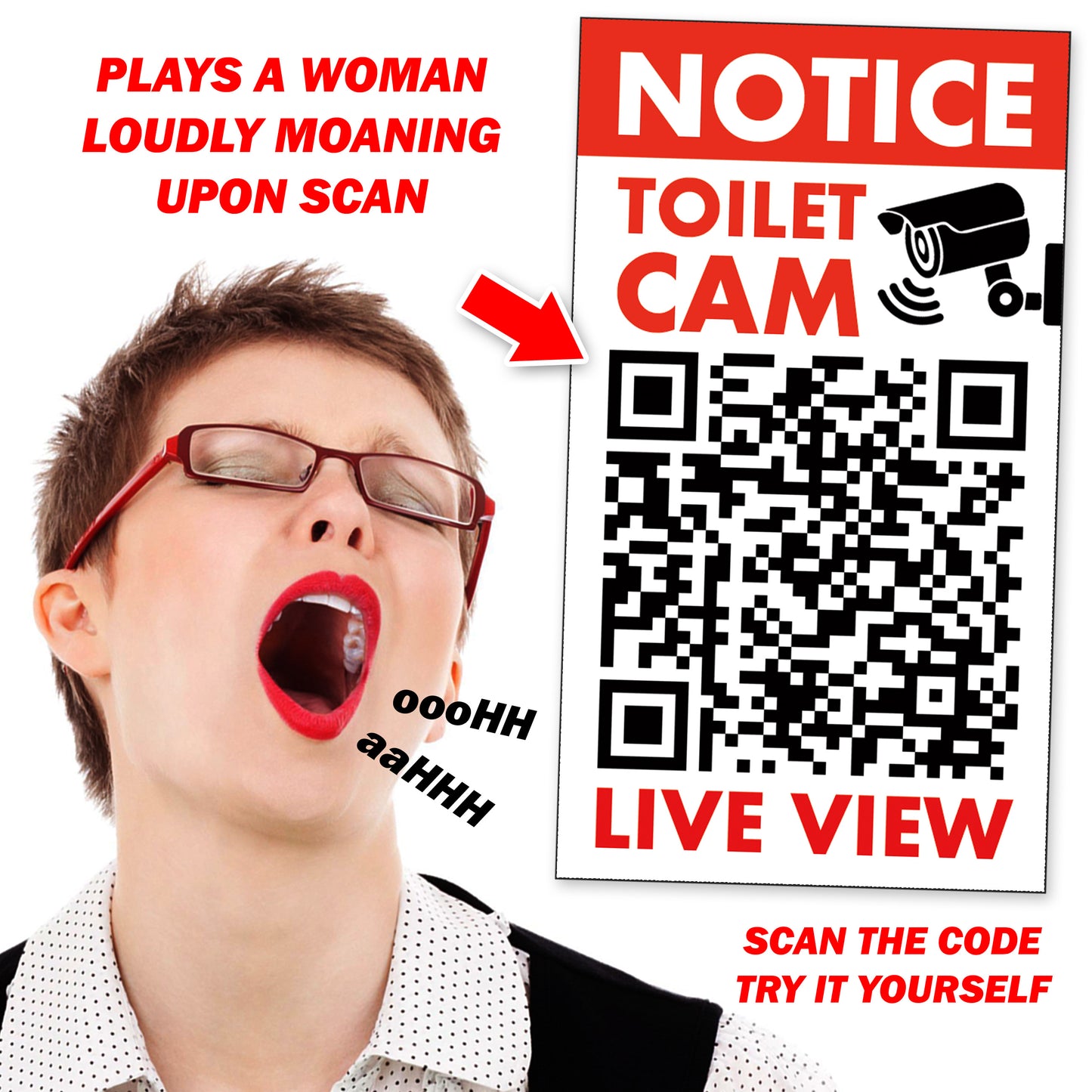 Woman Moaning Bathroom Toilet QR Code Prank Stickers!