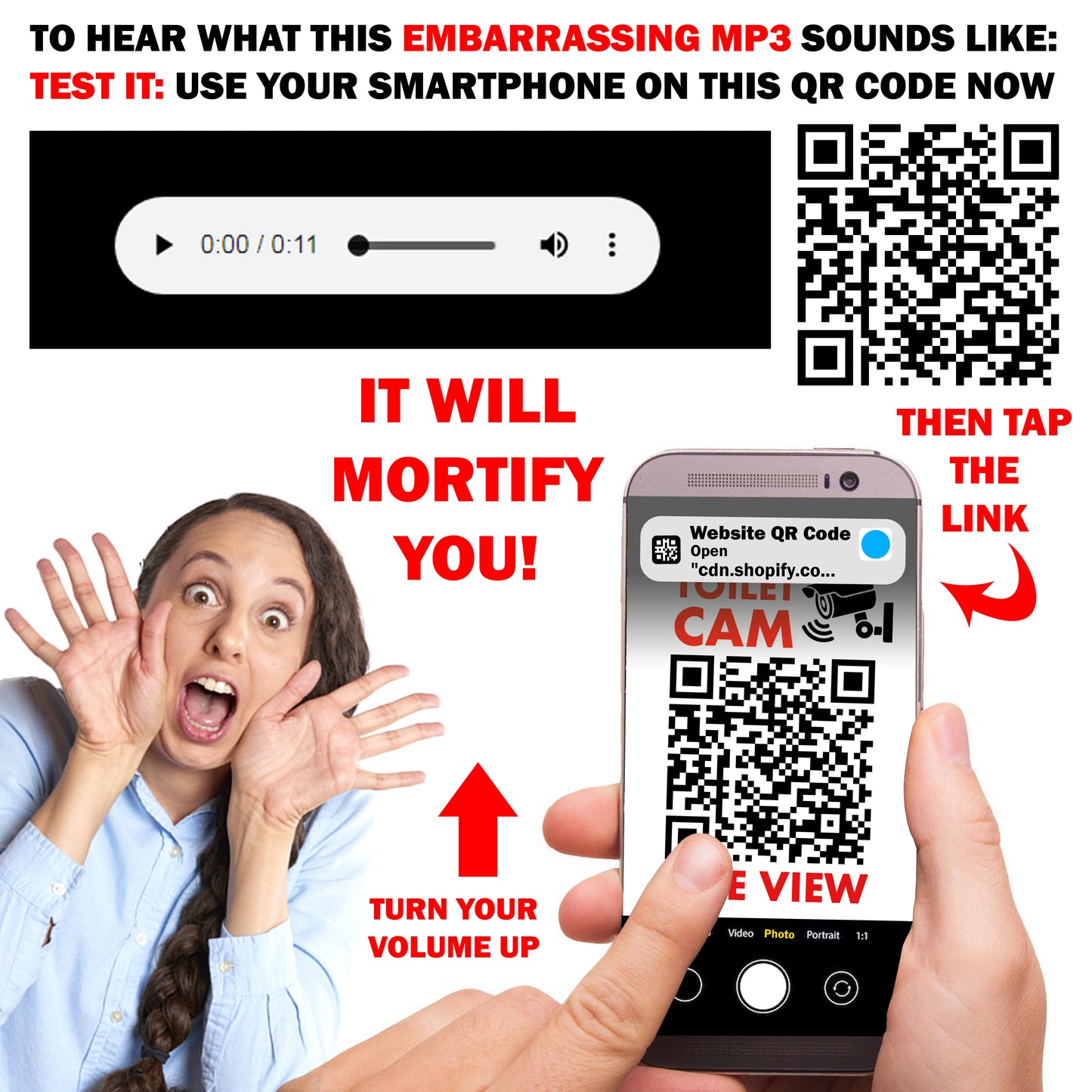 Woman Moaning Bathroom Toilet QR Code Prank Stickers!