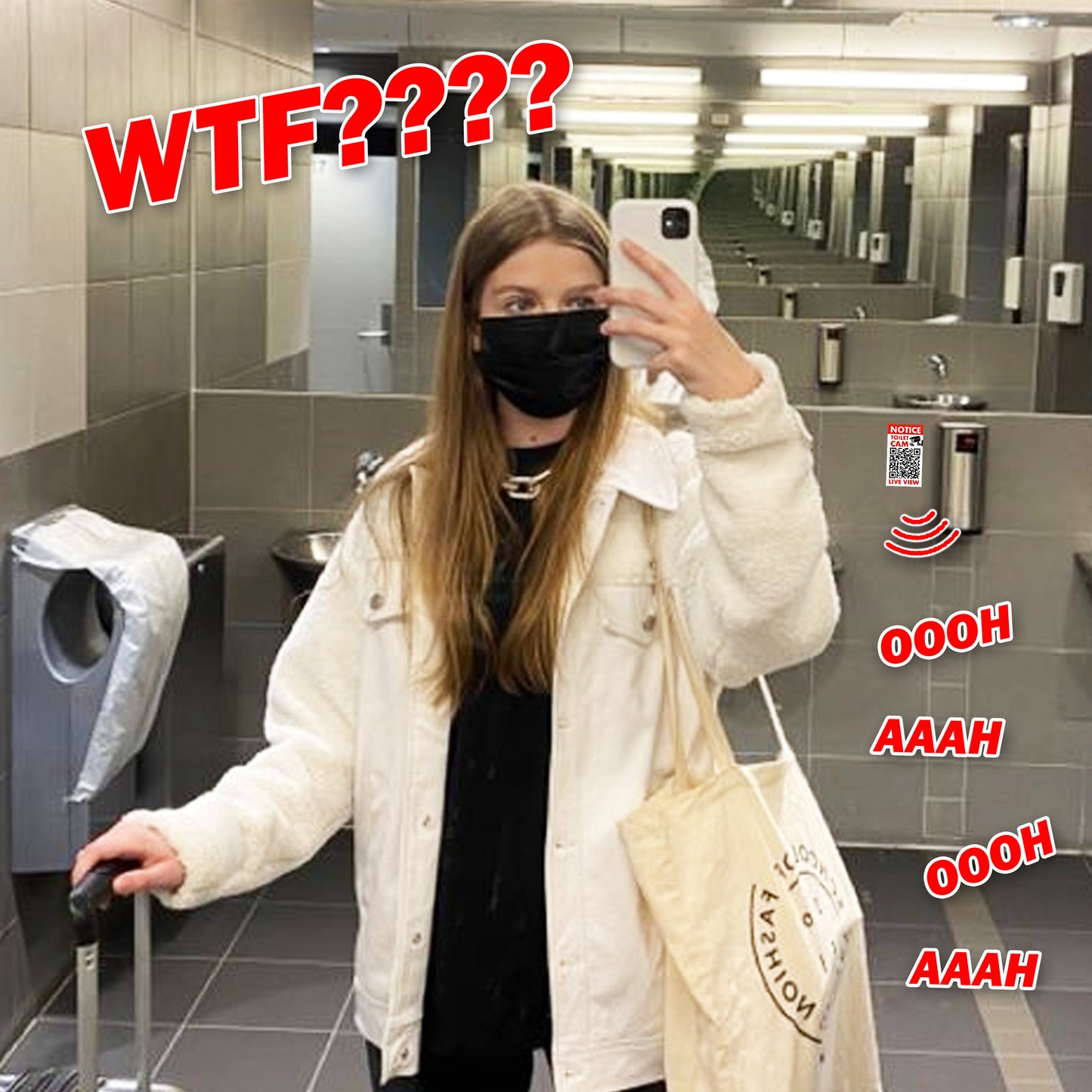 Woman Moaning Bathroom Toilet QR Code Prank Stickers!