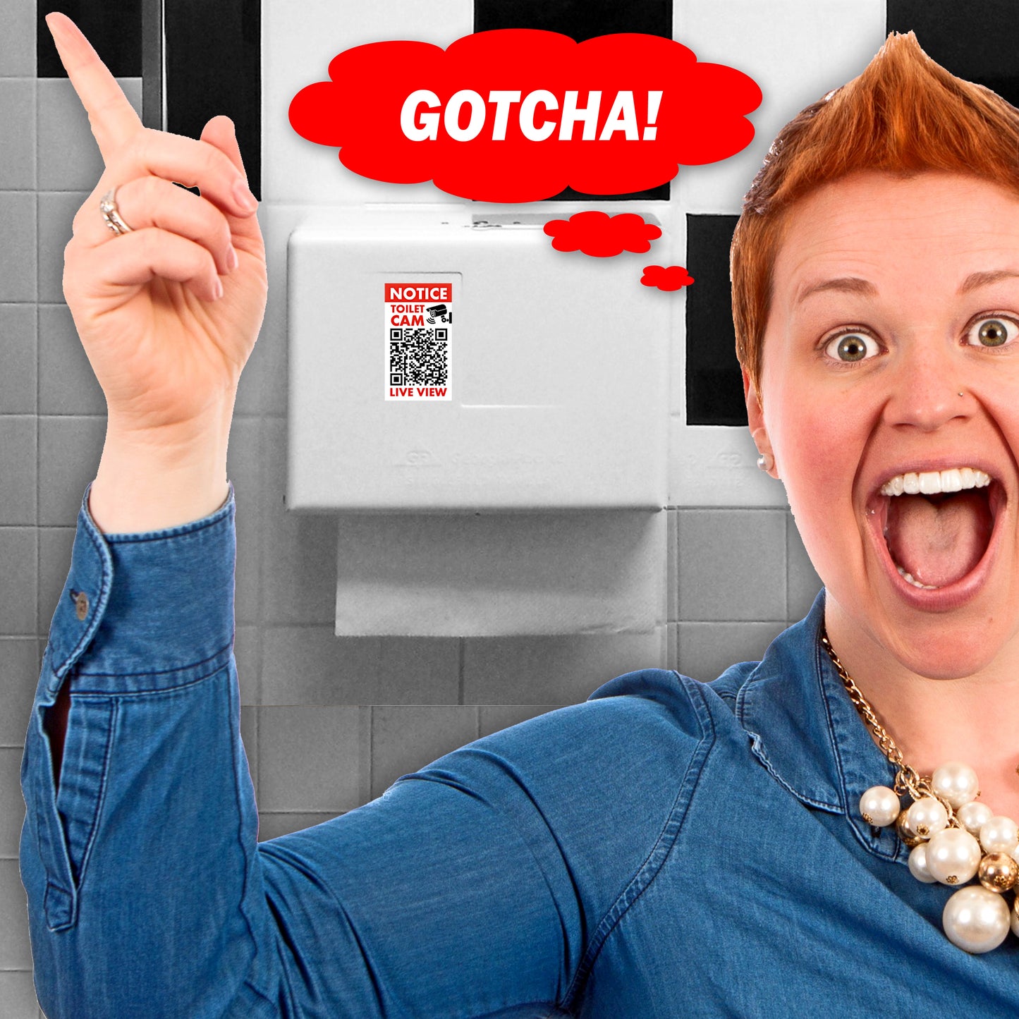 Woman Moaning Bathroom Toilet QR Code Prank Stickers!