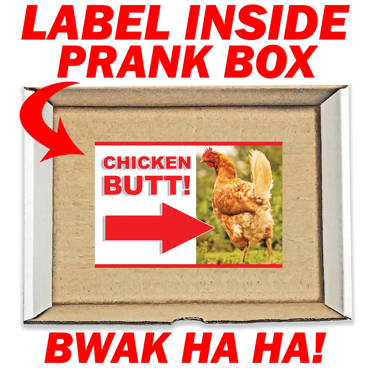 Guess What? Chicken Butt! Surprise Funny Prank Mail