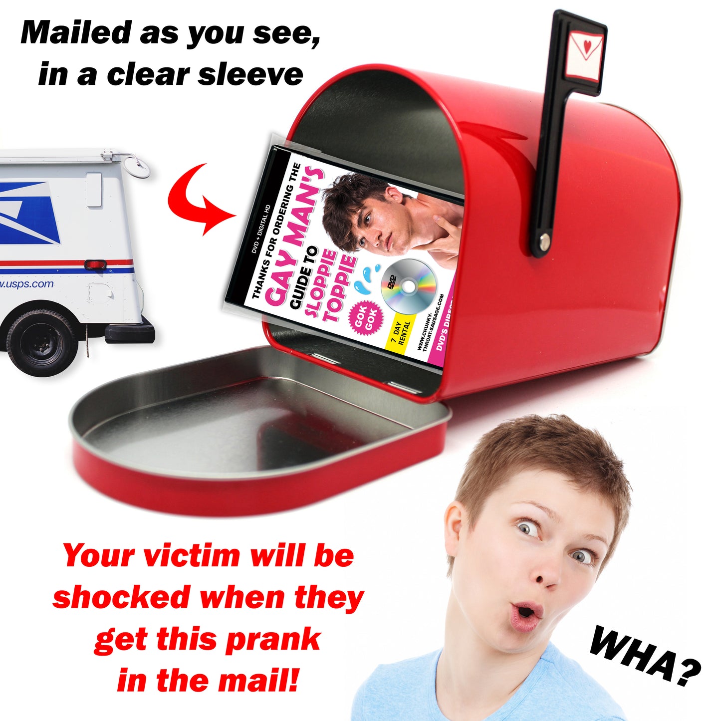 Gay Man's Guide to Sloppie Toppie Fake DVD Prank Mail Joke Gift