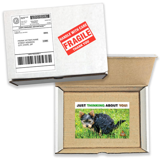 Just Thinking About You! Dog Poop Prank Mail