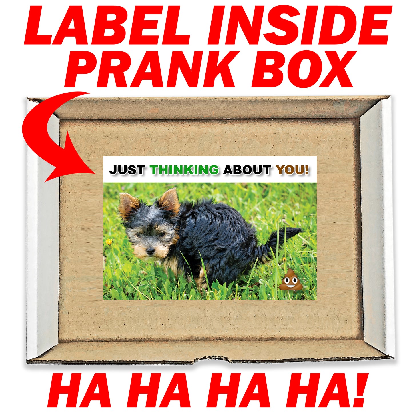 Just Thinking About You! Dog Poo Surprise Insulting Prank Mail