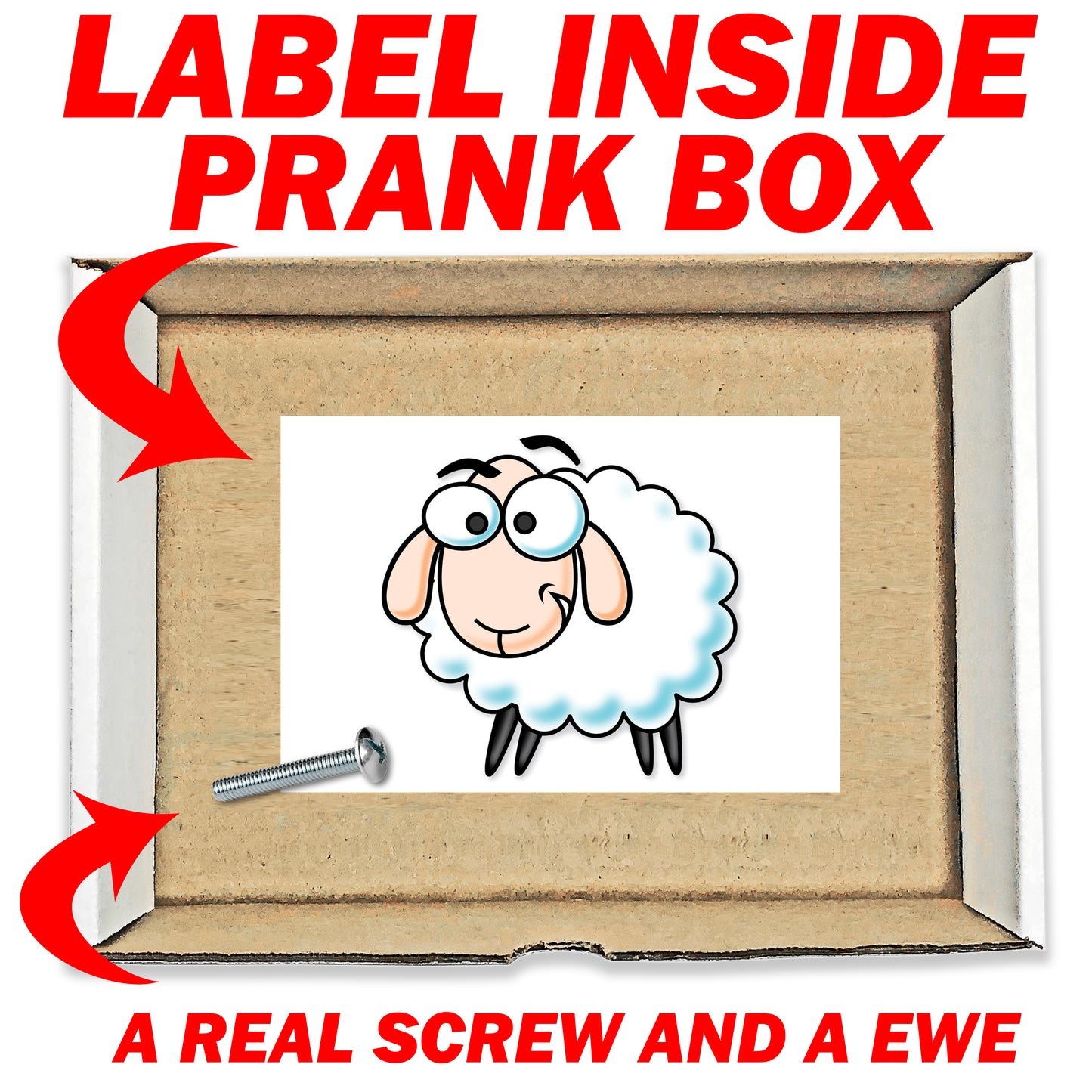 Screw Ewe! Surprise Insulting Prank Mail