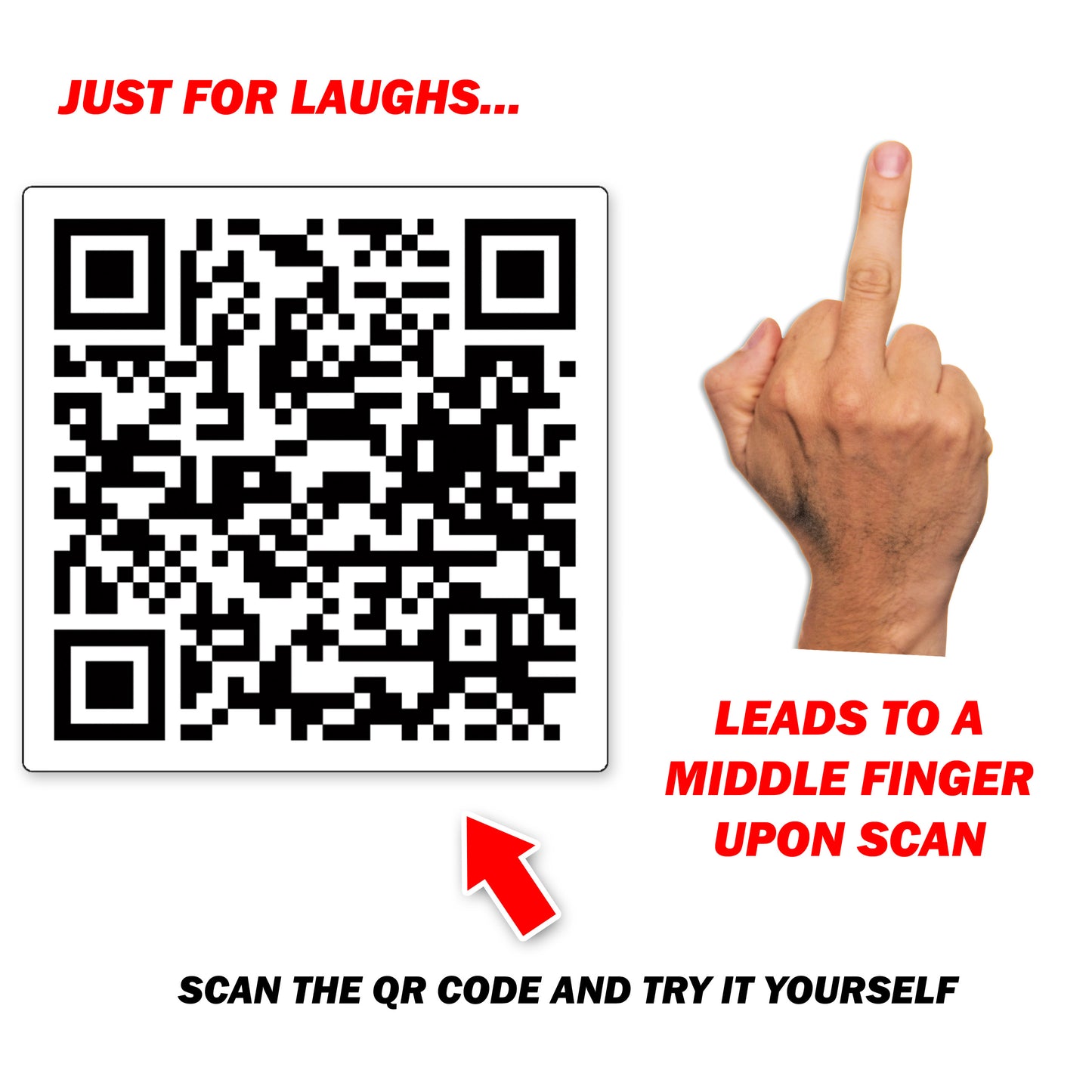 Fuck You Middle Finger QR Code Prank Stickers - 25 QTY