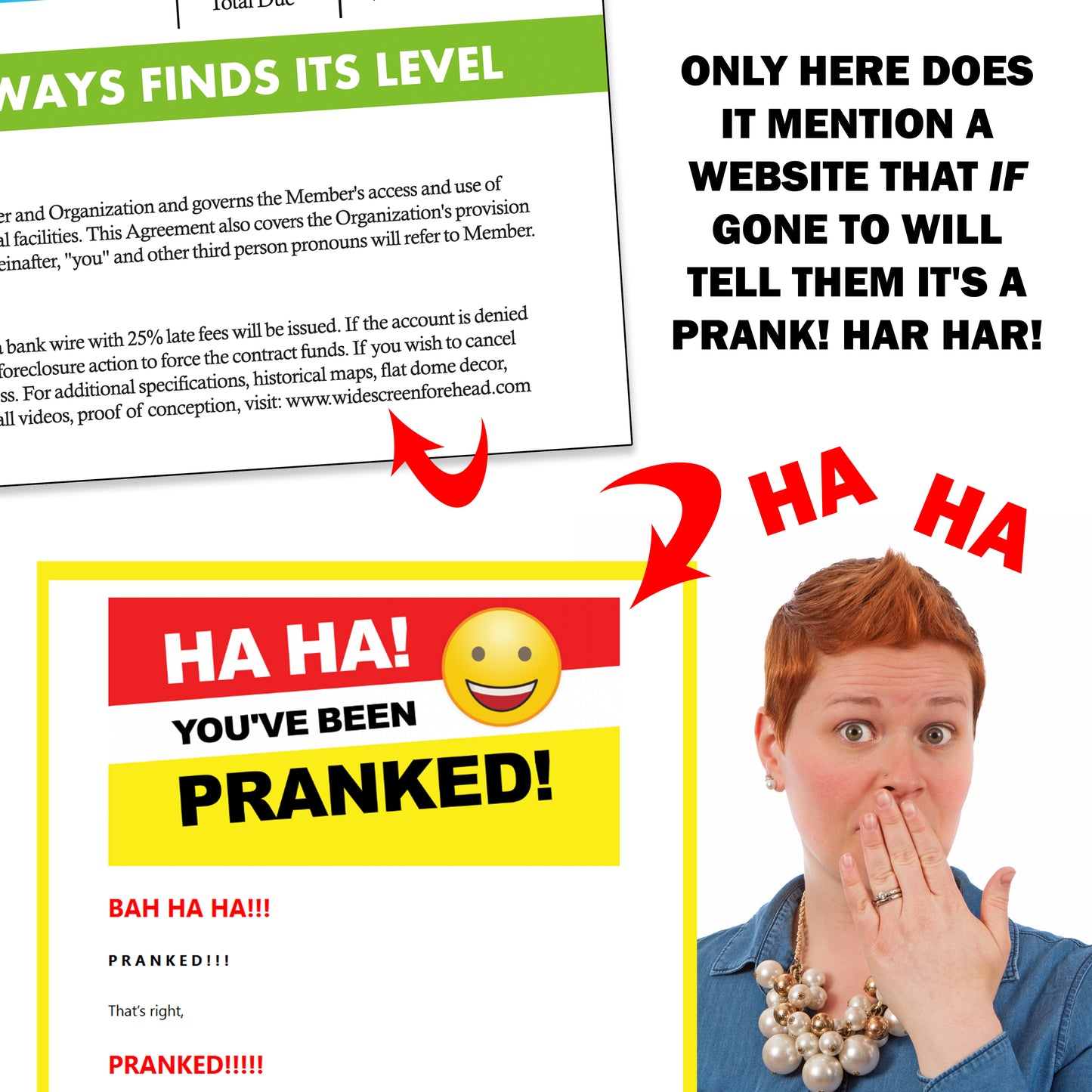 Flat Earth Fake Document Prank Mail