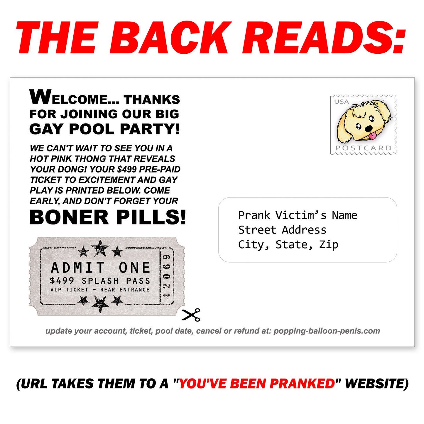 Big Gay Pool Party Prank Postcard