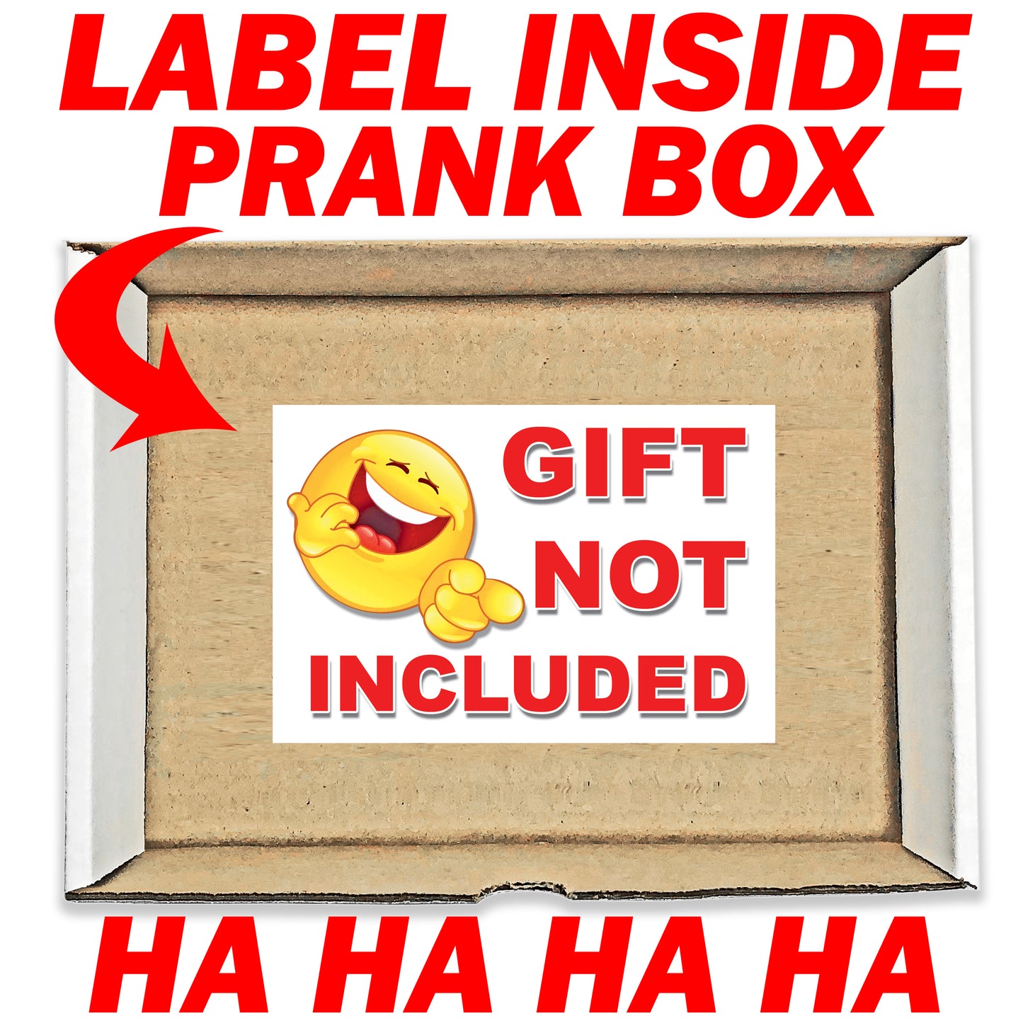 Gift Not Included Surprise Prank Mail