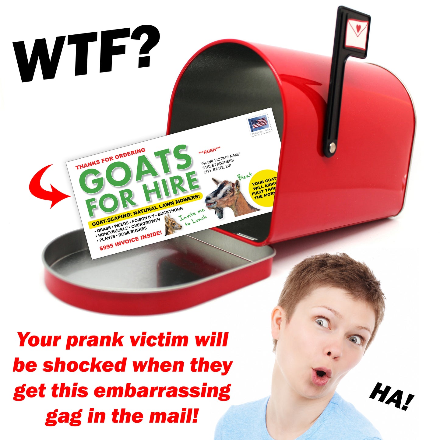 Goatscaping Goats for Hire Prank Mail Fake Gag Invoice!