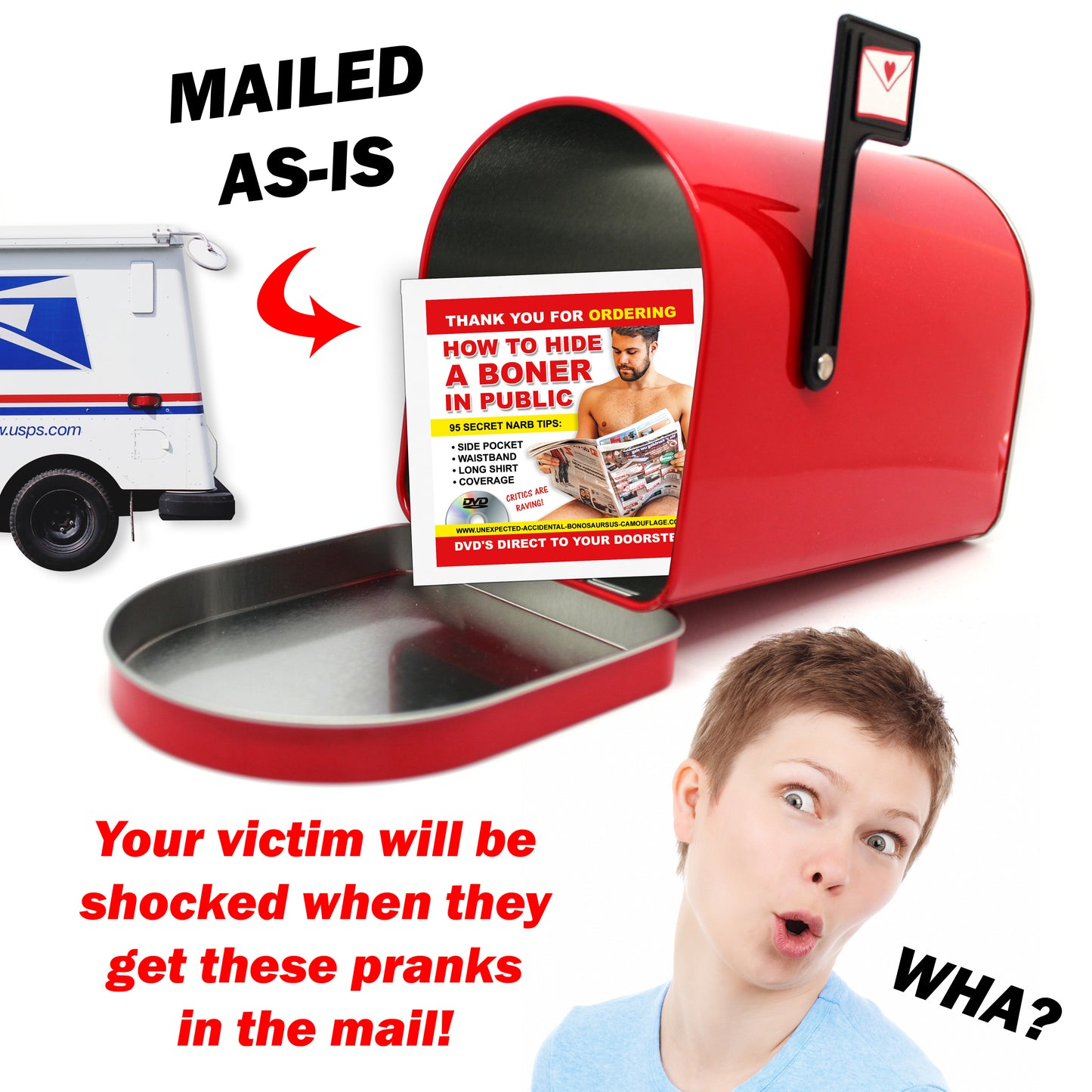 How to Hide a Boner in Public Gag Gift Mailer Joke