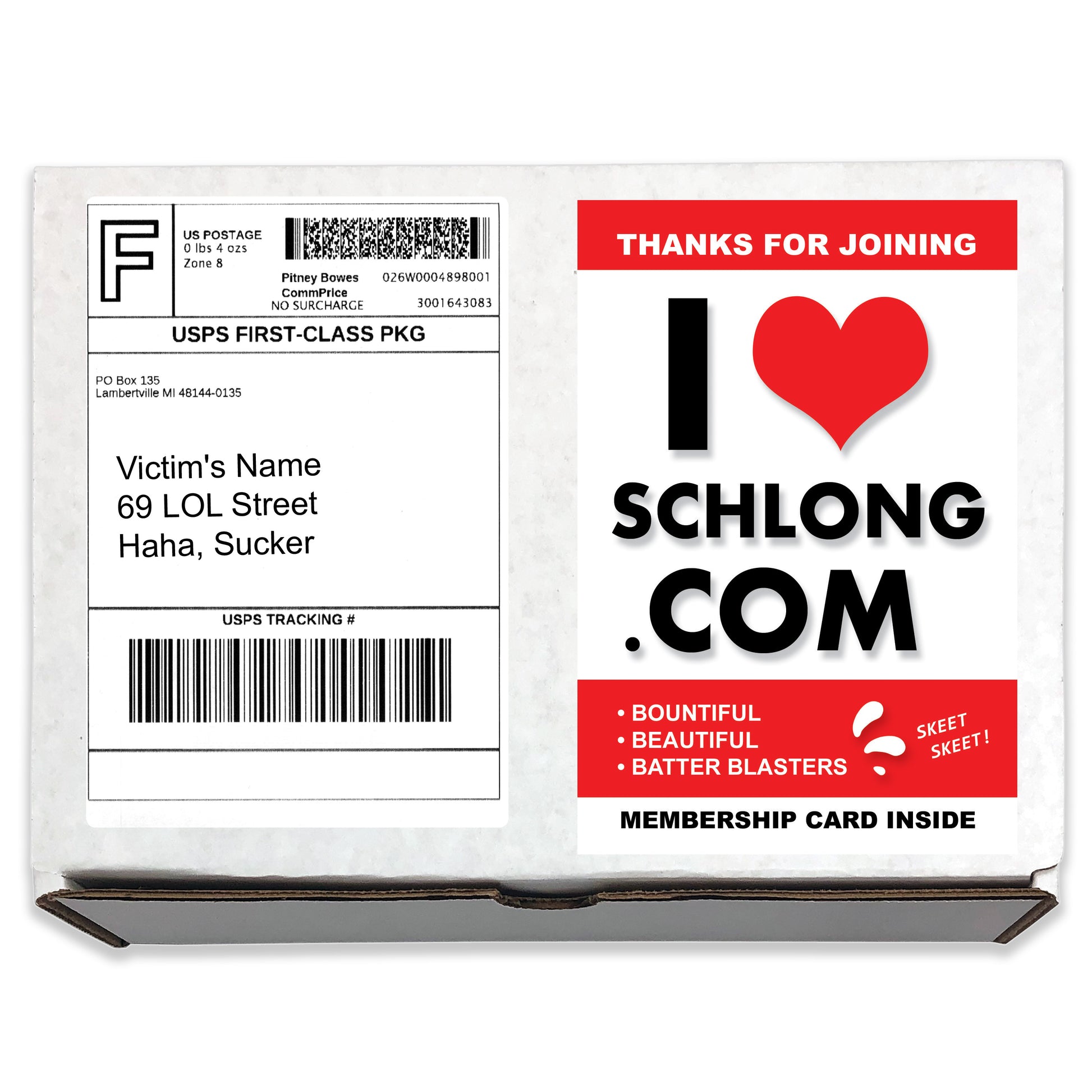 I Love Schlong Gag Gift Mailer