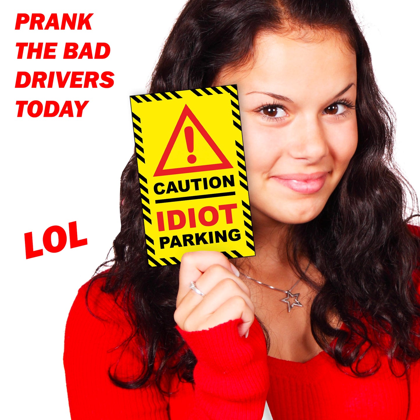 Prank Parking Violation Stickers for Windshields of Bad Drivers - 12 Qty