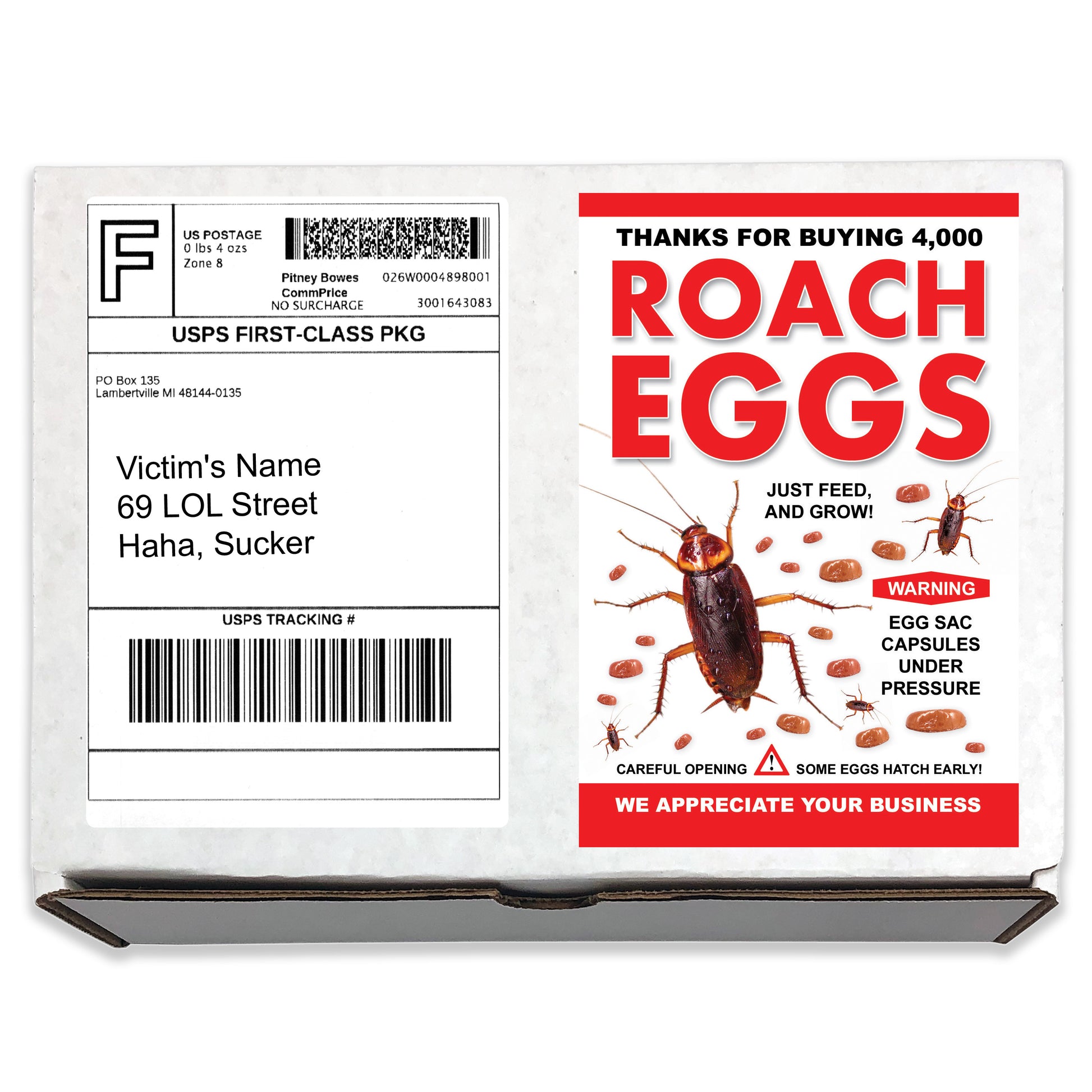Roach Eggs Prank Box Mail Gag