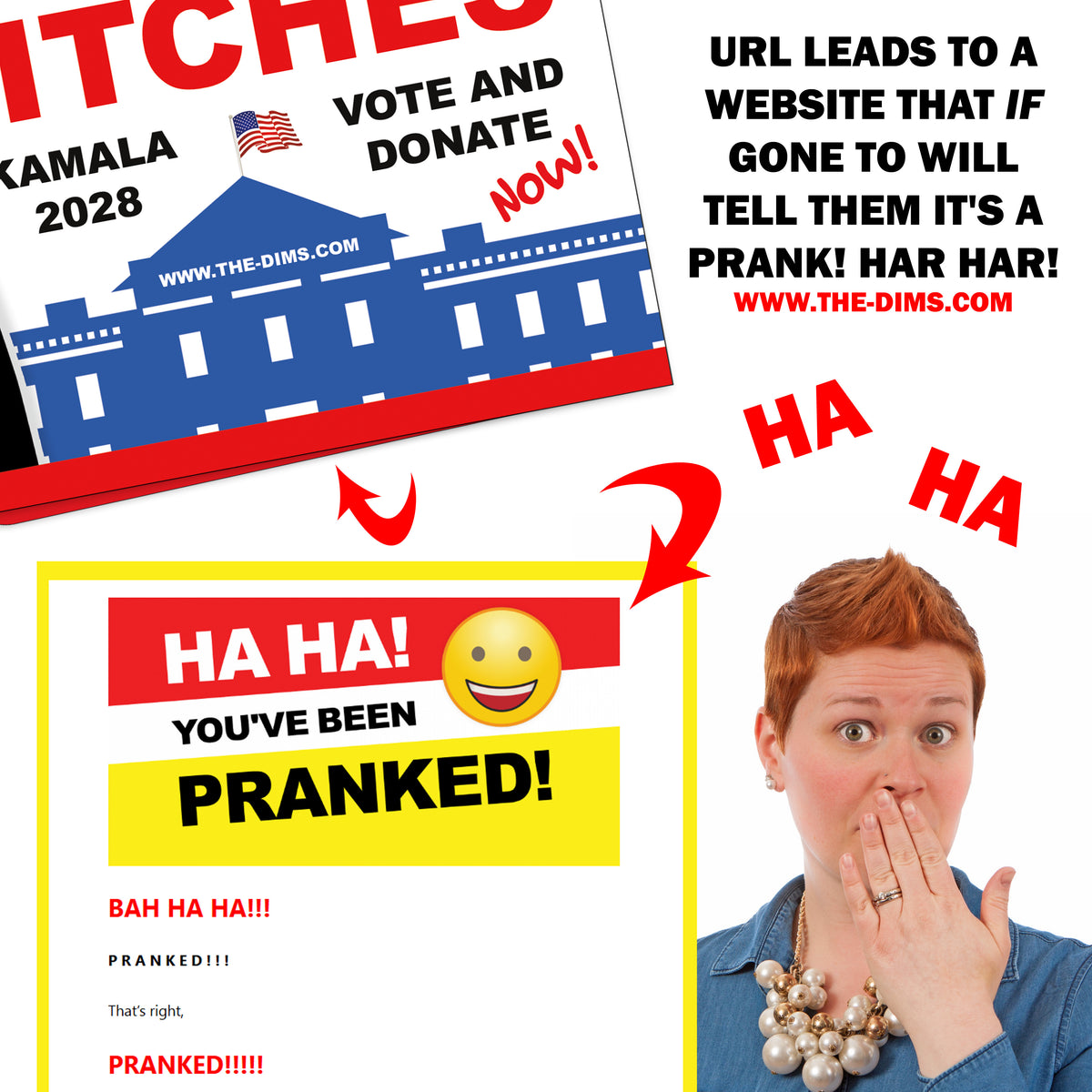 Kamala Harris 2028 I'm Back Bitches Prank Postcards 12 Pack