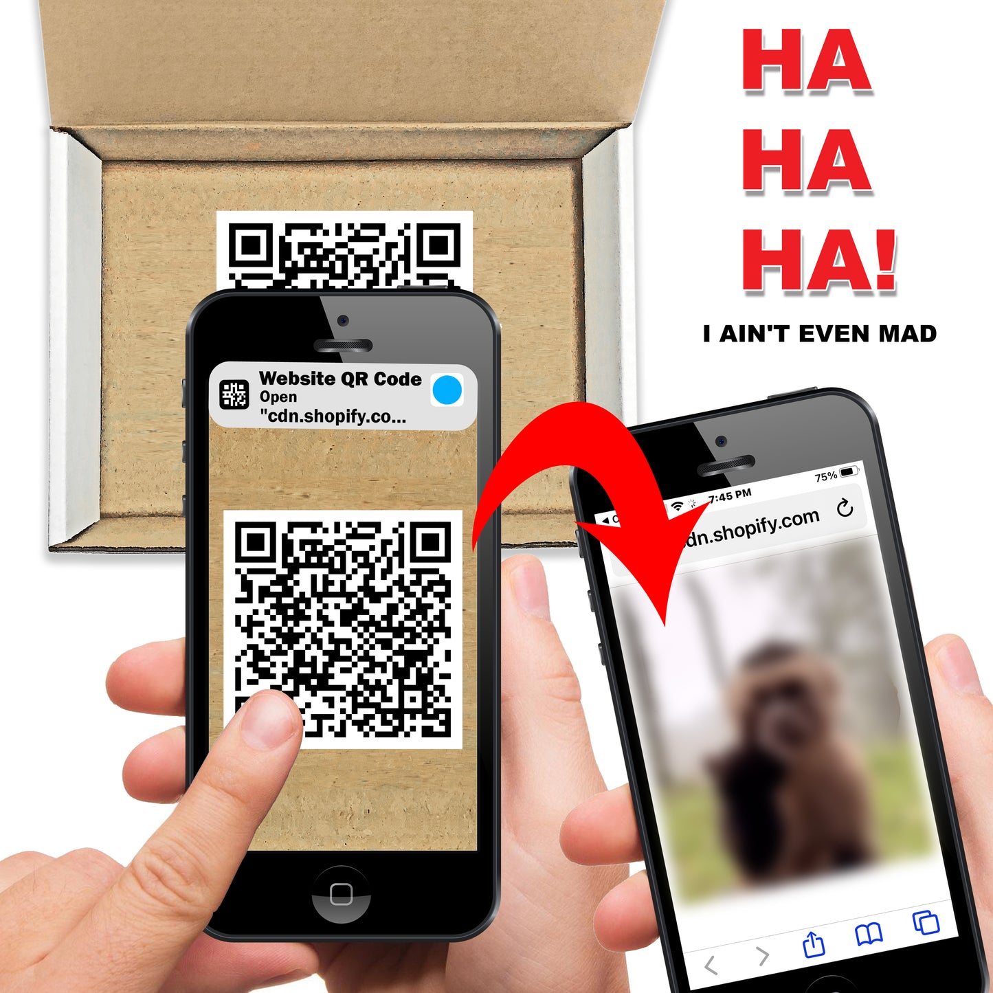 QR Code Monkey Middle Finger Surprise Insulting Prank Mail