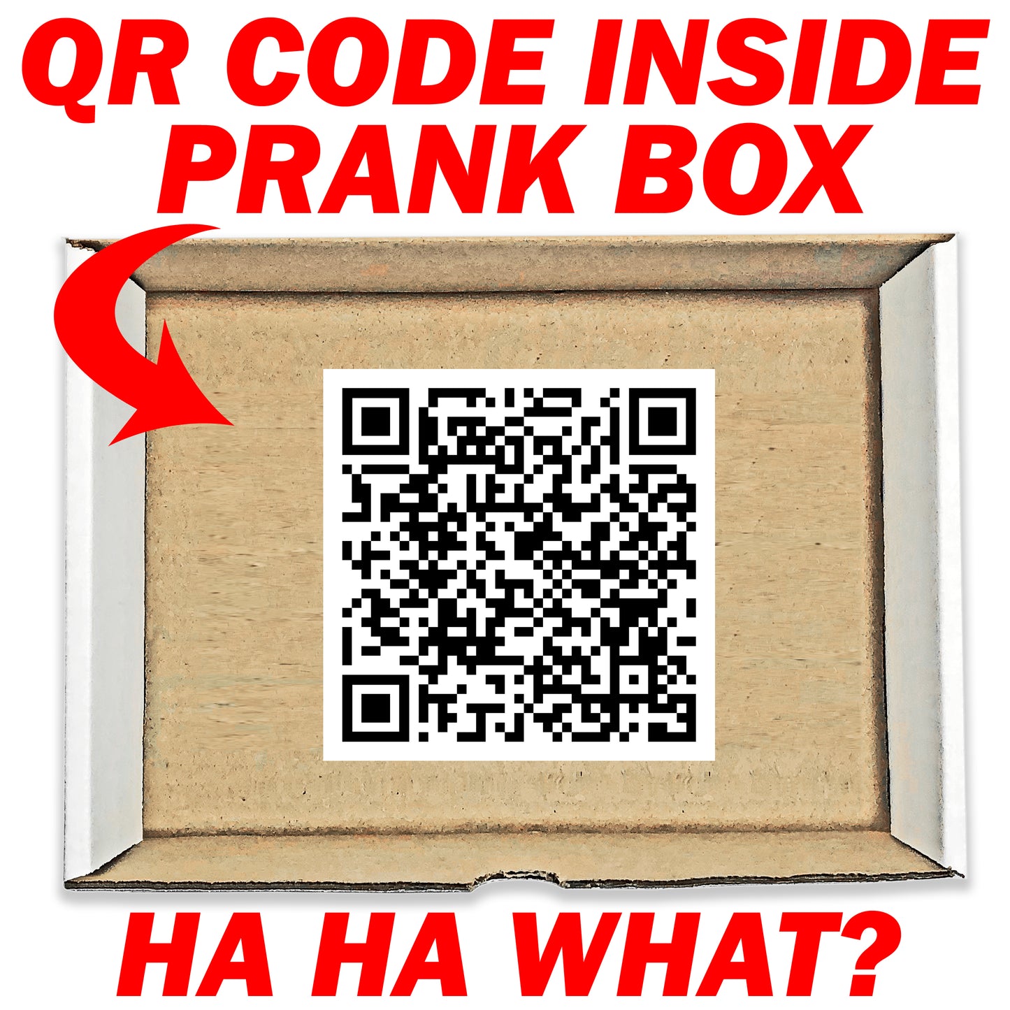 QR Code Monkey Middle Finger Surprise Insulting Prank Mail