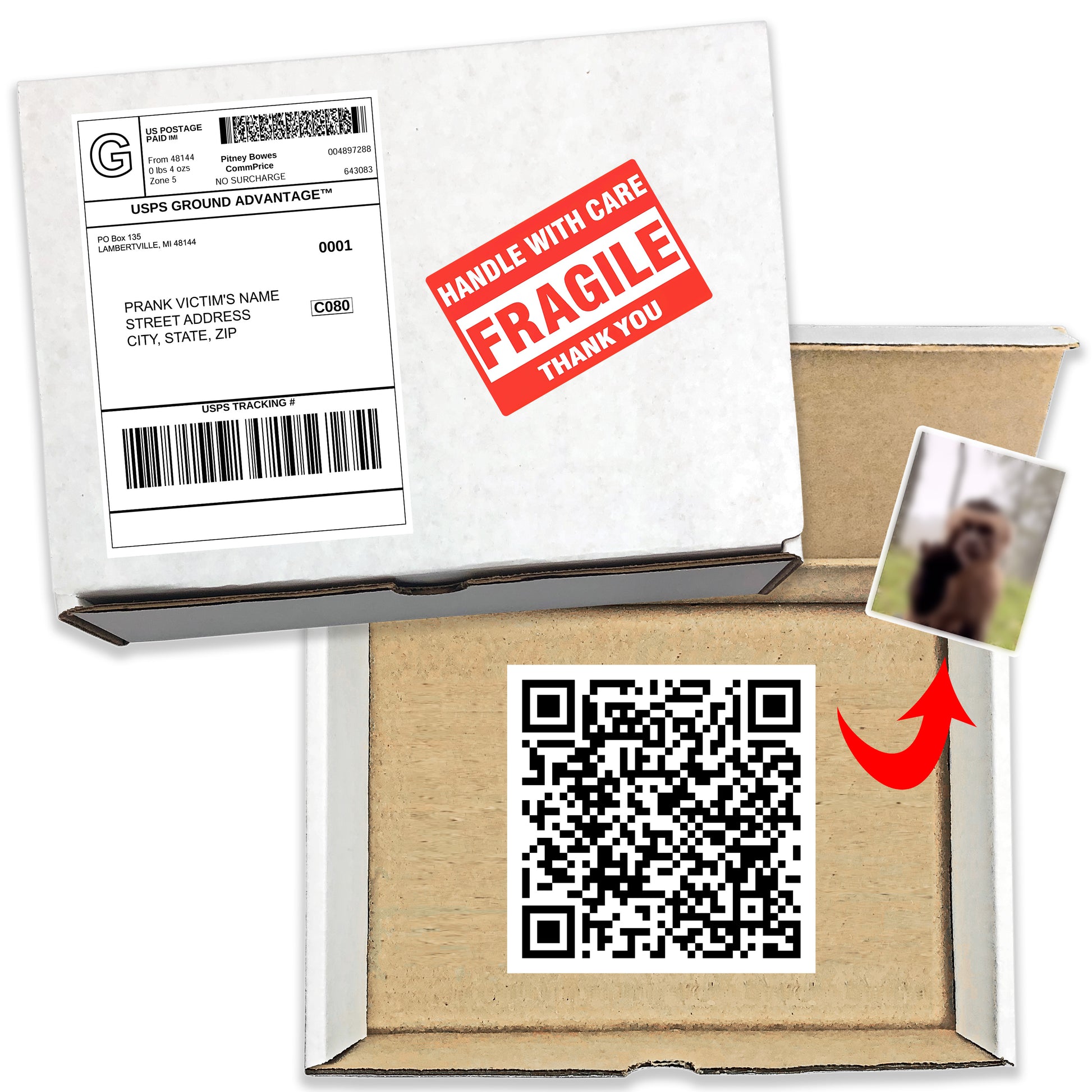 Monkey QR Code Prank Mail