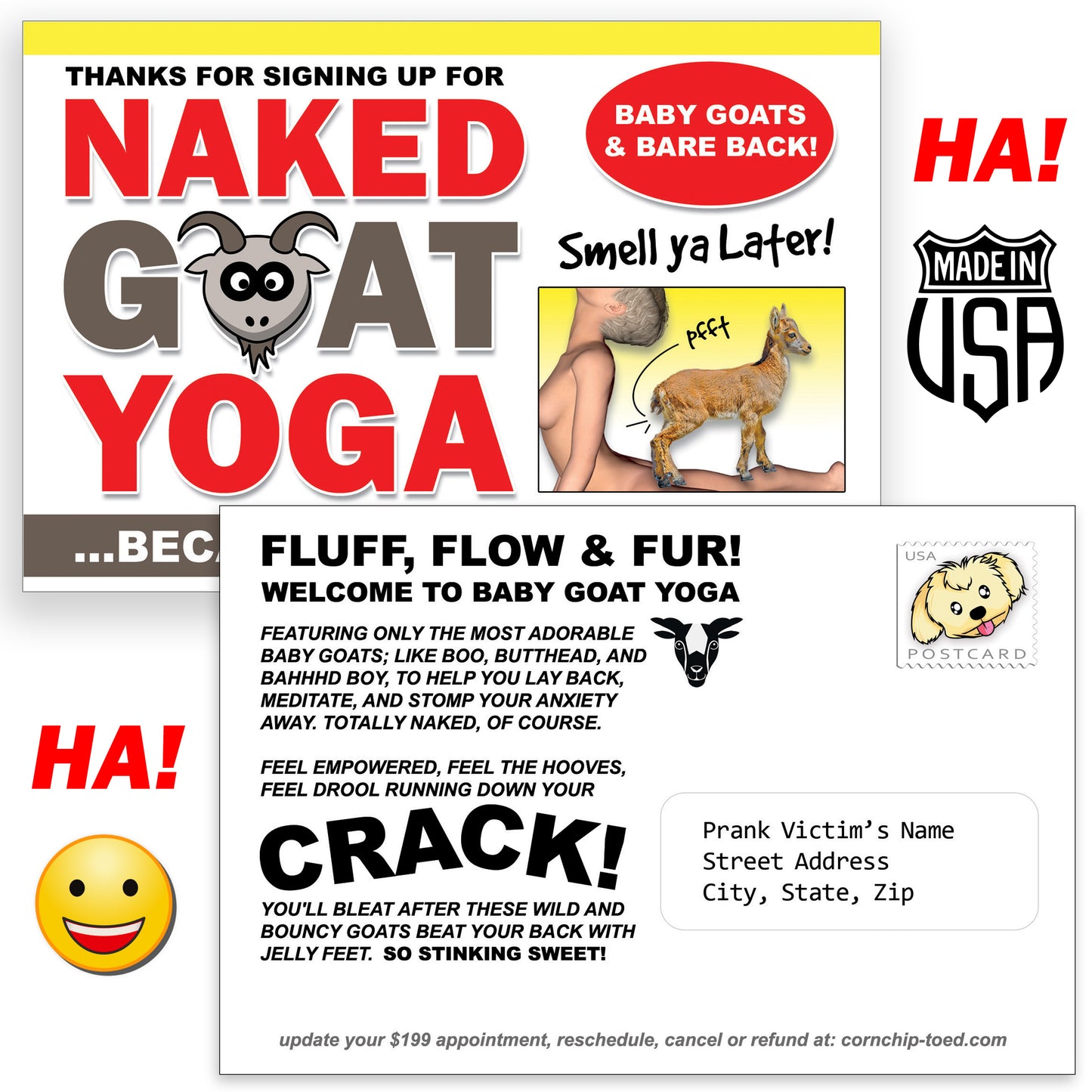 Naked Goat Yoga Prank Postcard