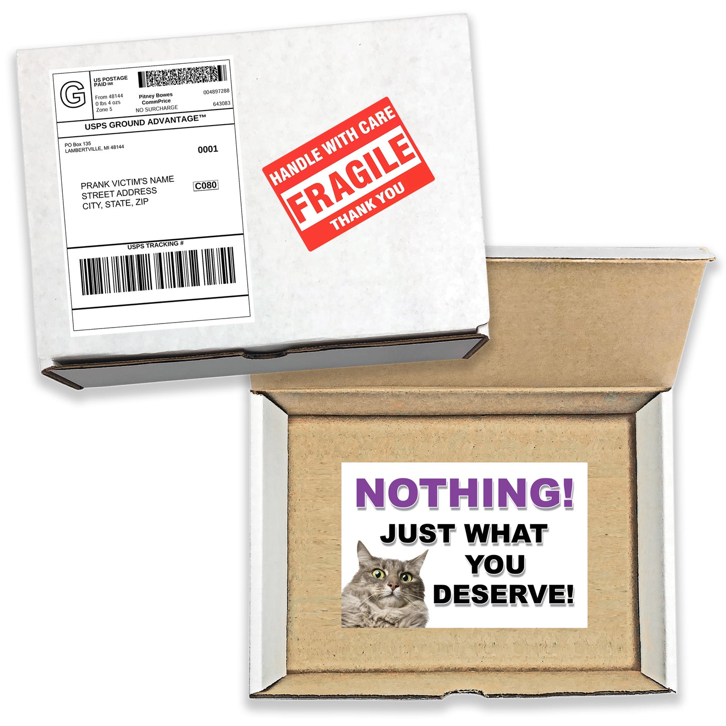 Nothing! Just What You Deserve! Prank Mail Box