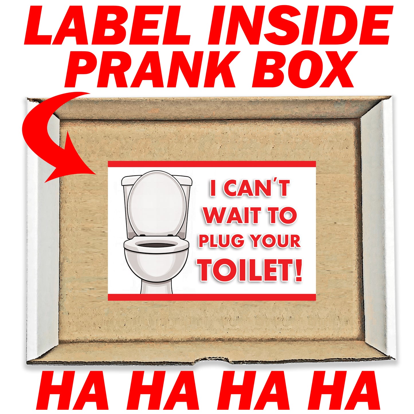 I Can't Wait To Plug Your Toilet Surprise Prank Mail