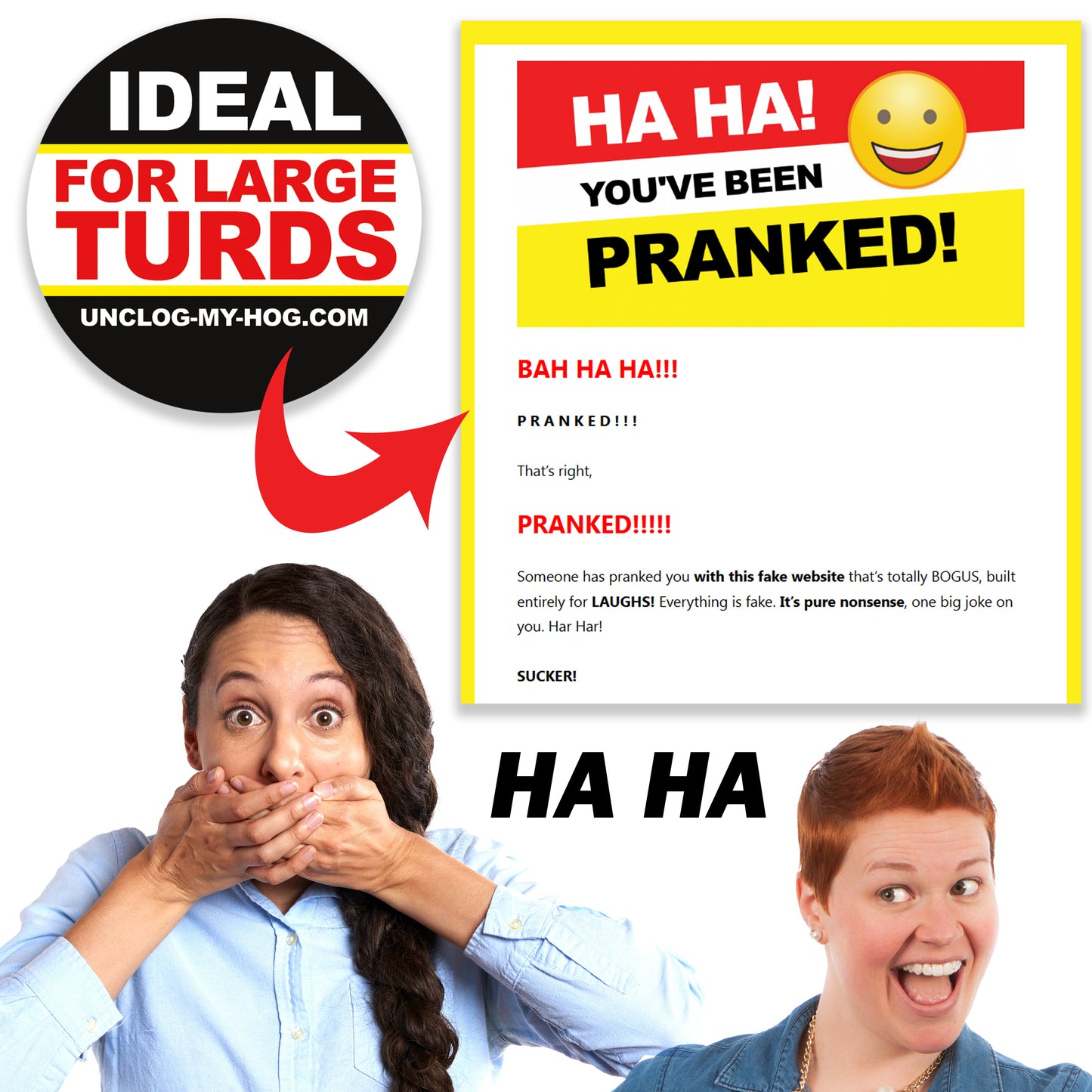 19" Real Toilet Plunger Prank Mail Sent Anonymously!