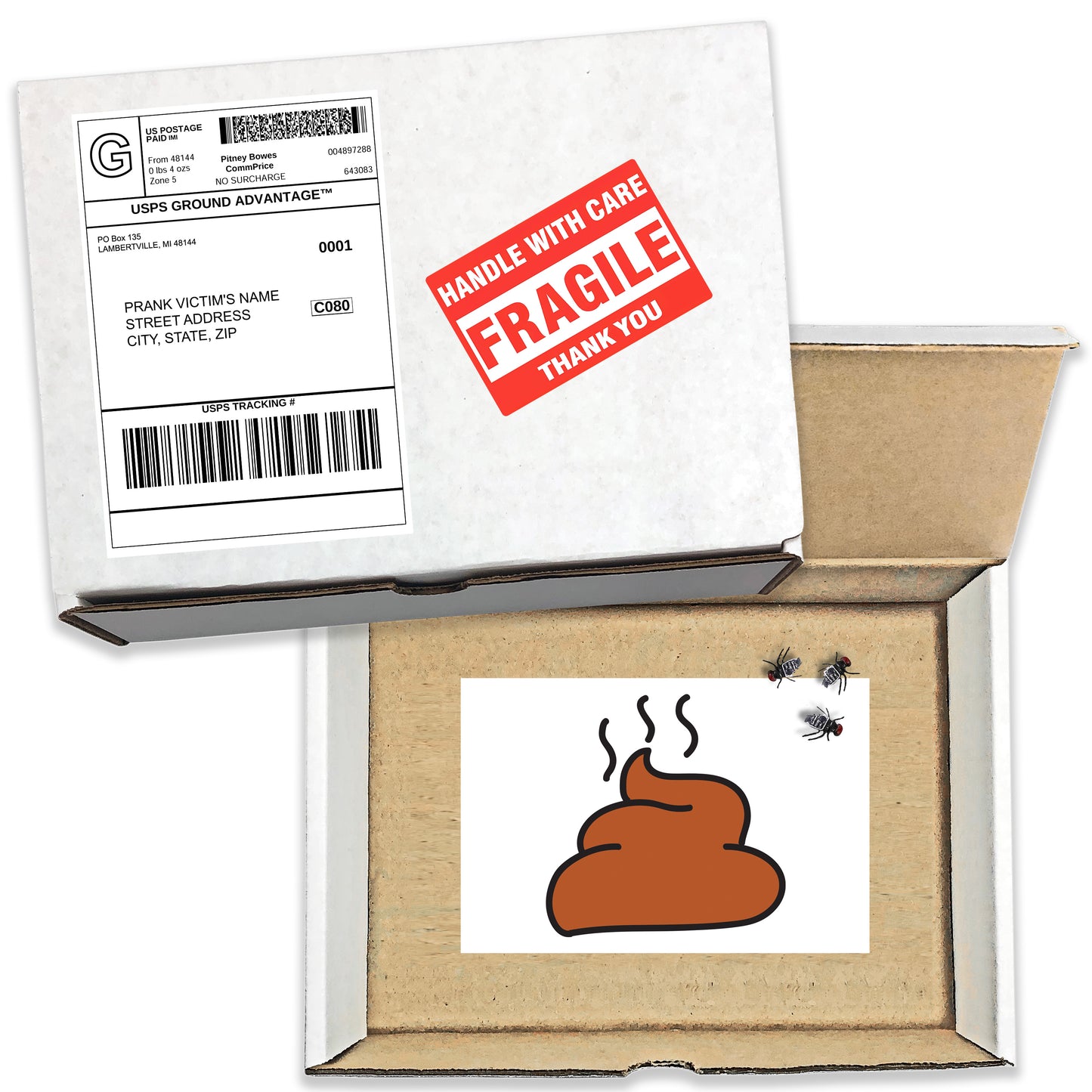 Steaming Poo with Flies Surprise Prank Mail