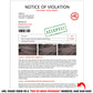 Red Light Ticket Fake Document Prank Mail