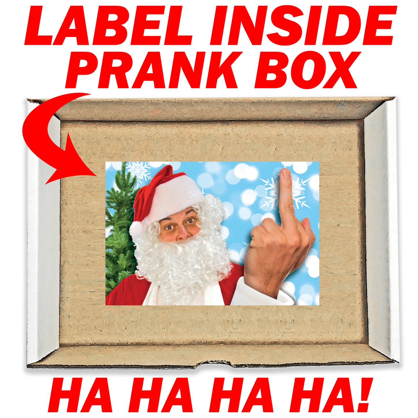 Santa Claus Middle Finger Surprise Christmas Prank Mail