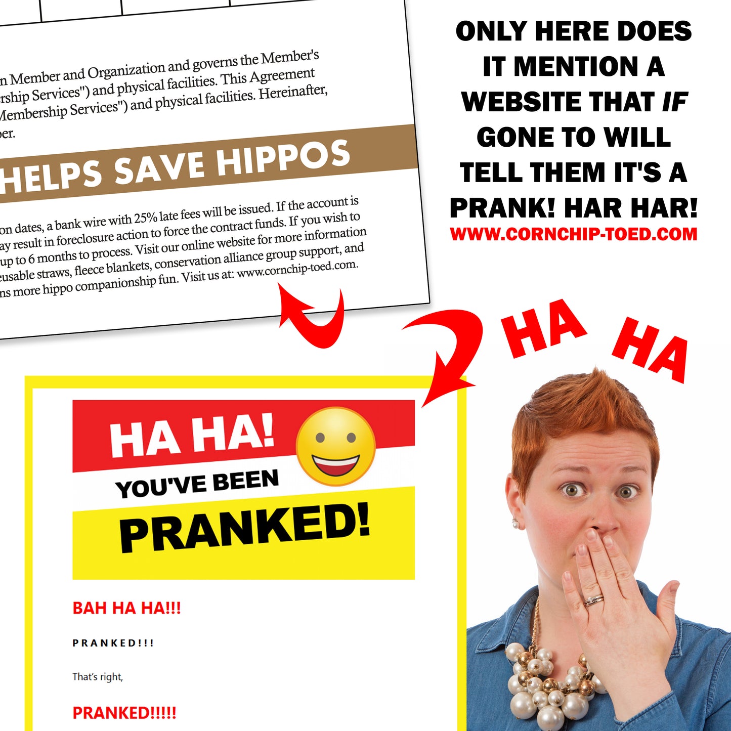 Save The Hippos Fake Document Packet Prank Mail