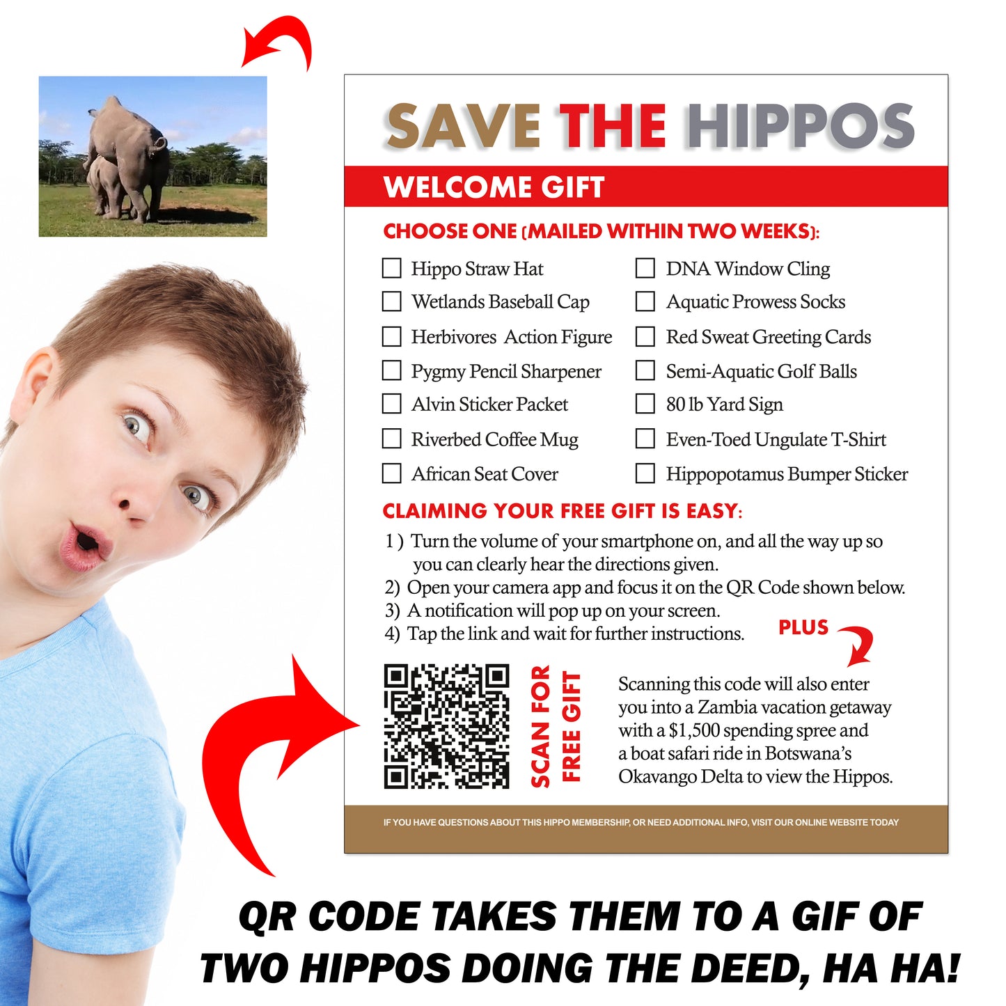 Save The Hippos Fake Document Packet Prank Mail