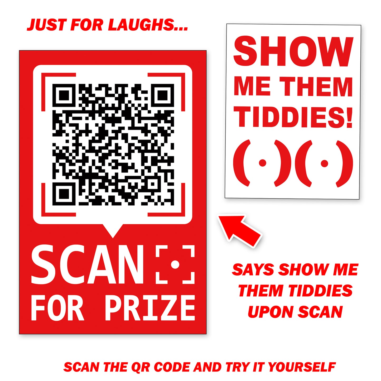 Show Me Them Tiddies QR Code Prank Prize Stickers - 15 QTY