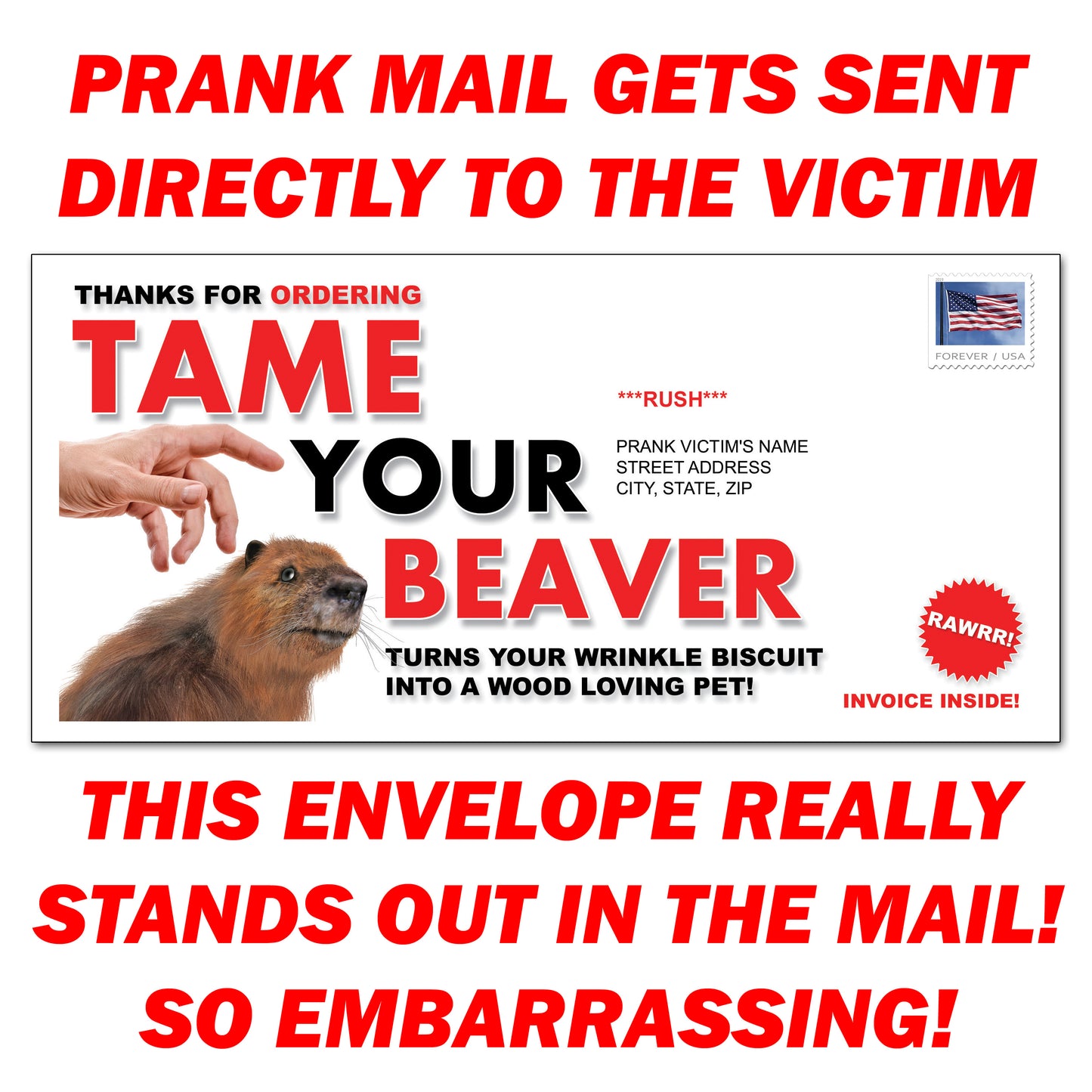 Tame Your Beaver Prank Letter Mailer