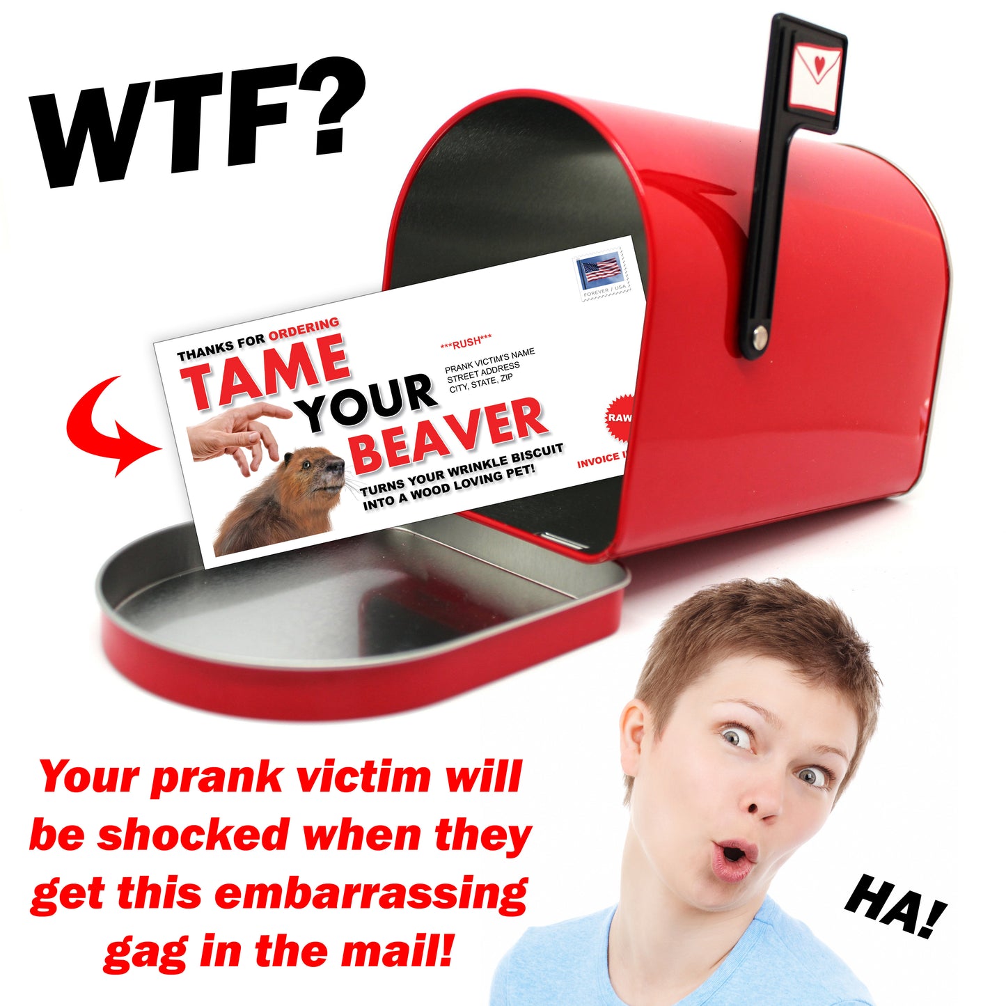 Tame Your Beaver Prank Letter Mailer