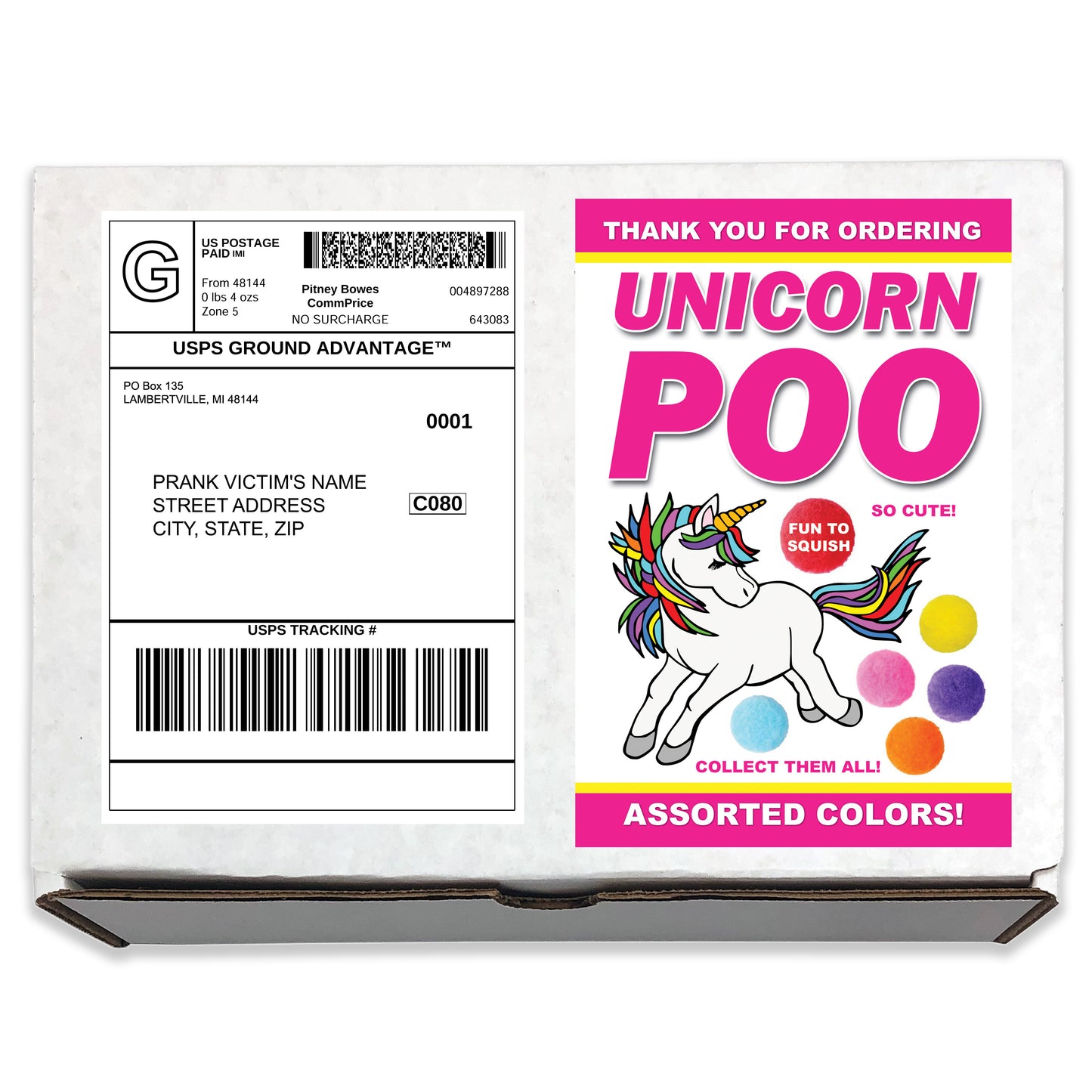 Cute Unicorn Poo Fake Prank Mail