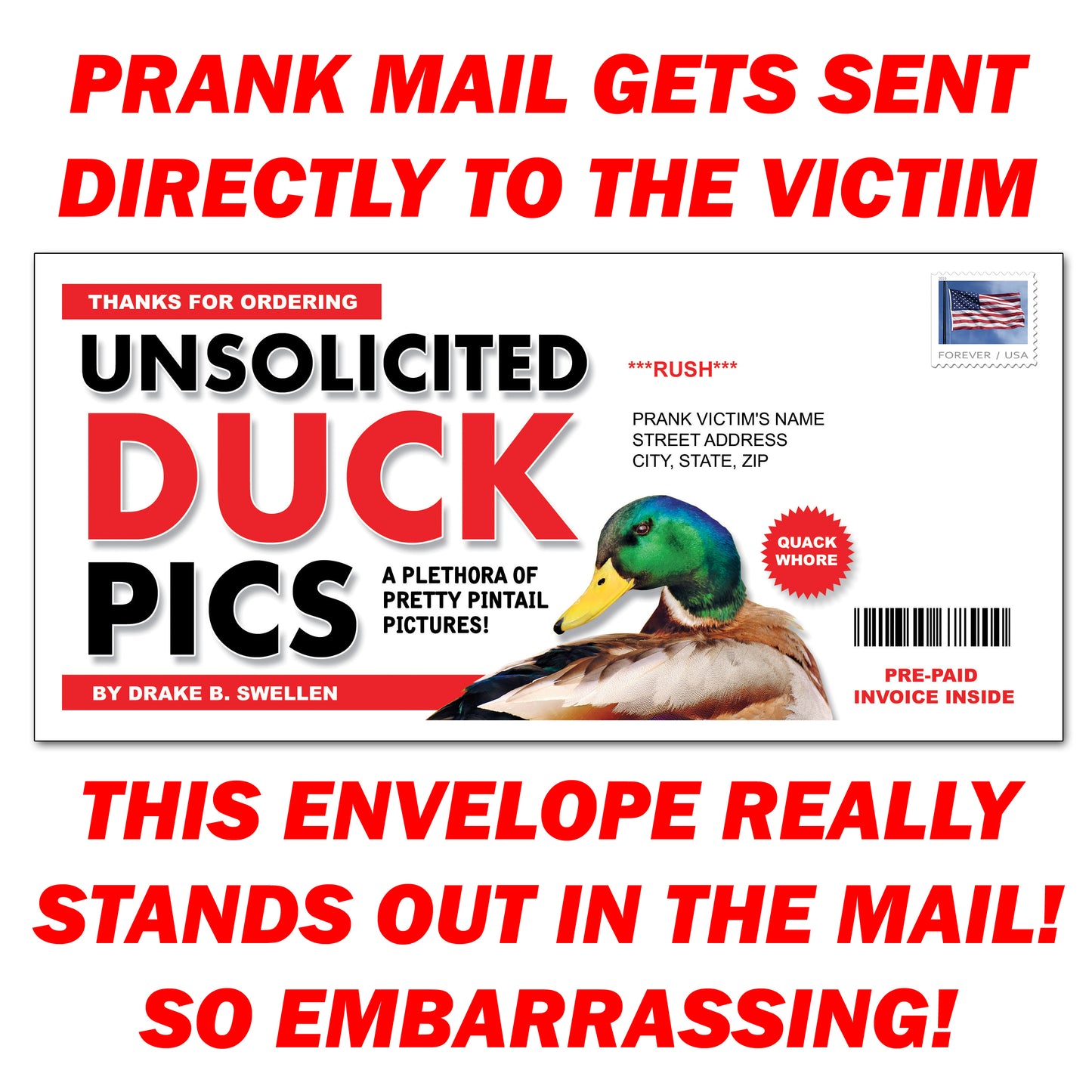 Unsolicited Duck Pics Mail Prank Letter