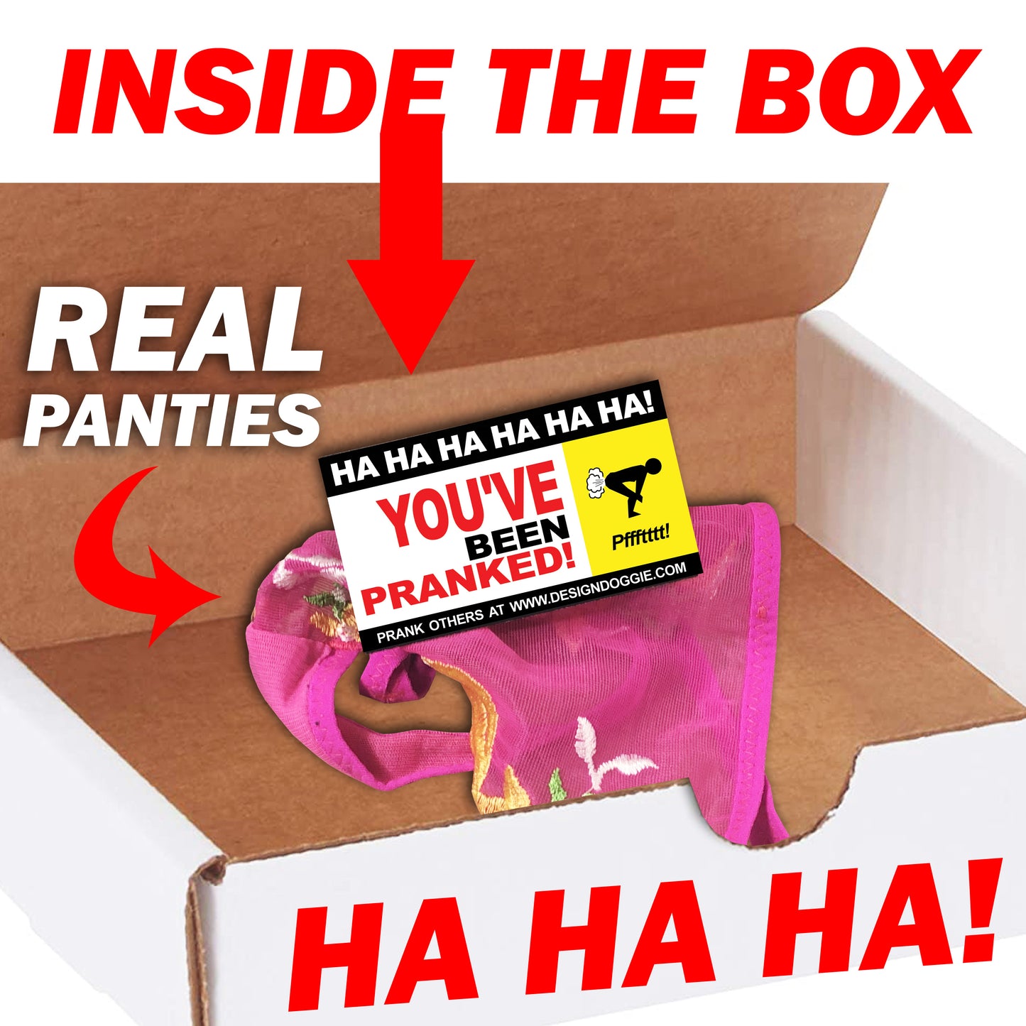 Used Panties Joke Box