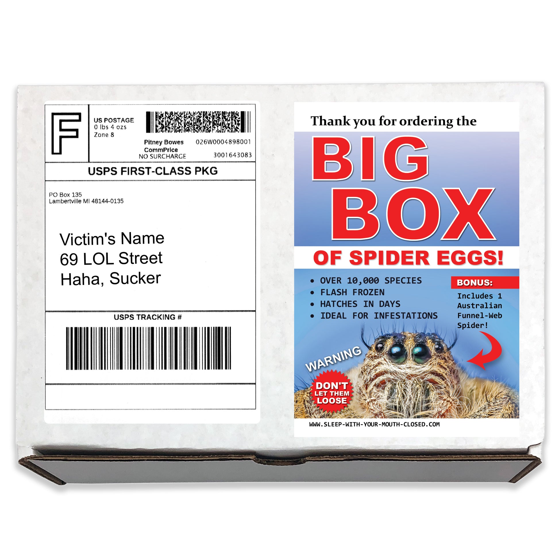 Big Box Of Spider Eggs Halloween embarrassing prank box